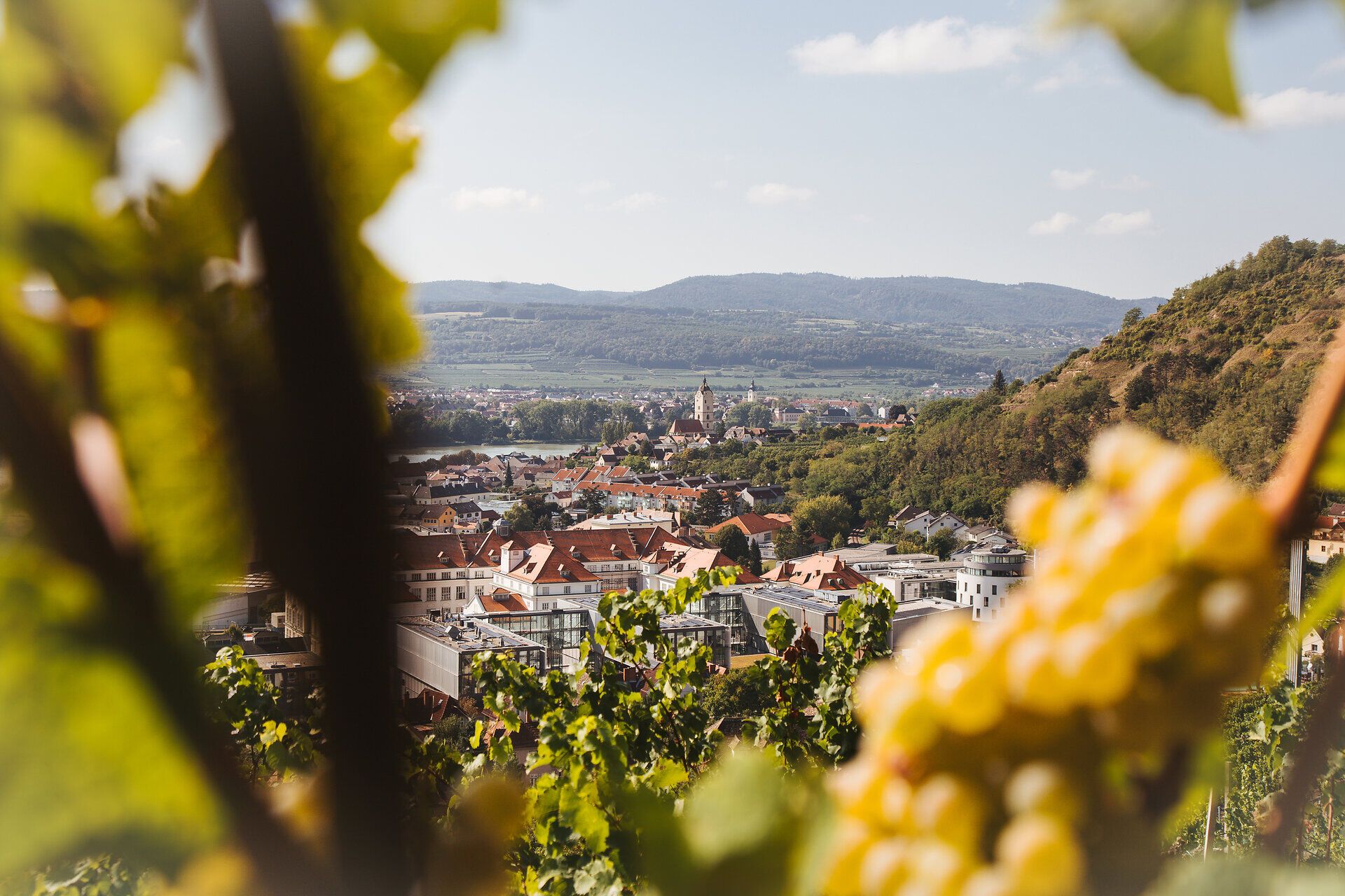 Die sanften Hügel der Wachau umarmen die malerische Stadt Krems, während die Donau friedlich durch die Landschaft fließt. Goldene Weintrauben hängen verlockend von den Reben und versprechen einen genussvollen Aufenthalt in dieser idyllischen Region. Hier, wo Natur und Kultur harmonisch verschmelzen, wird jeder Moment zum unvergesslichen Erlebnis.