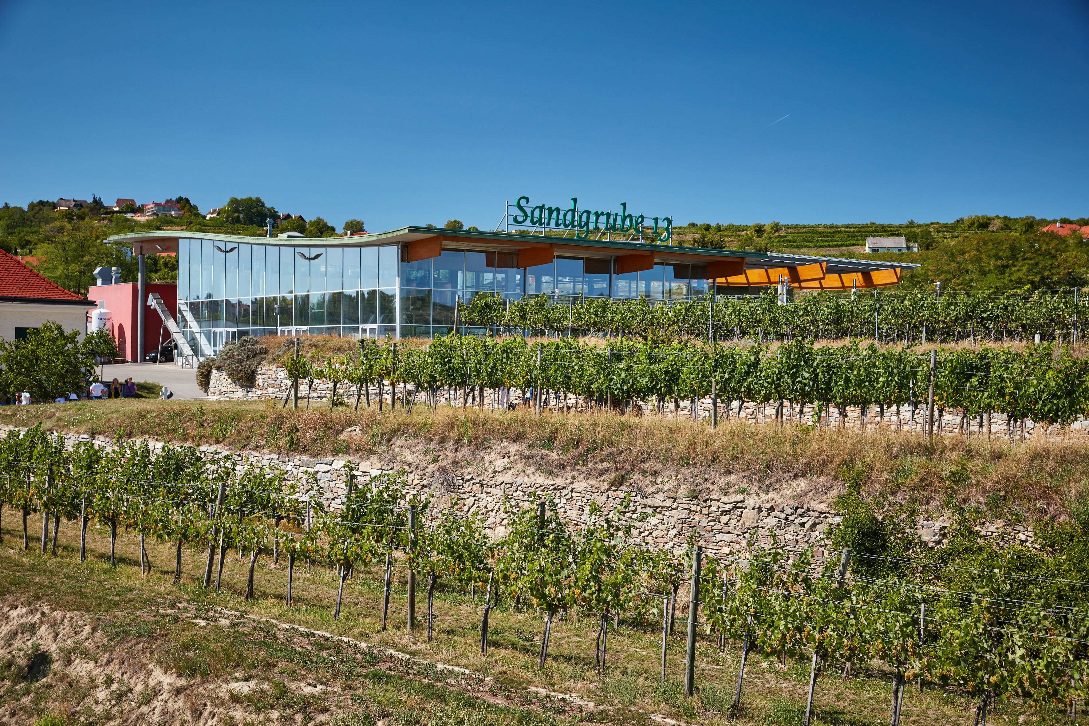 Glasgebäude umgeben von Weinreben mit blauem Himmel