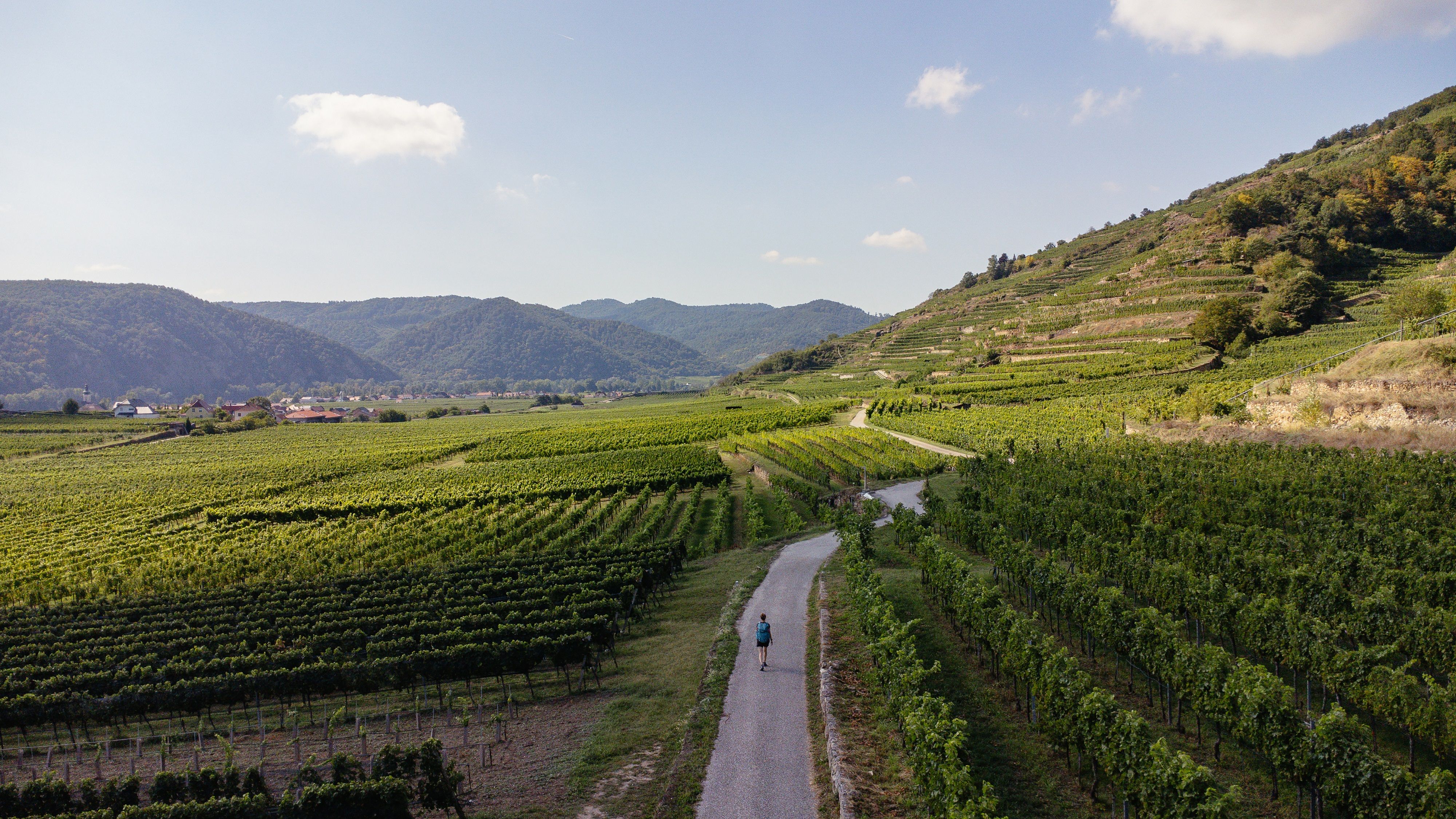 Am Welterbesteig Wachau durch Loiben