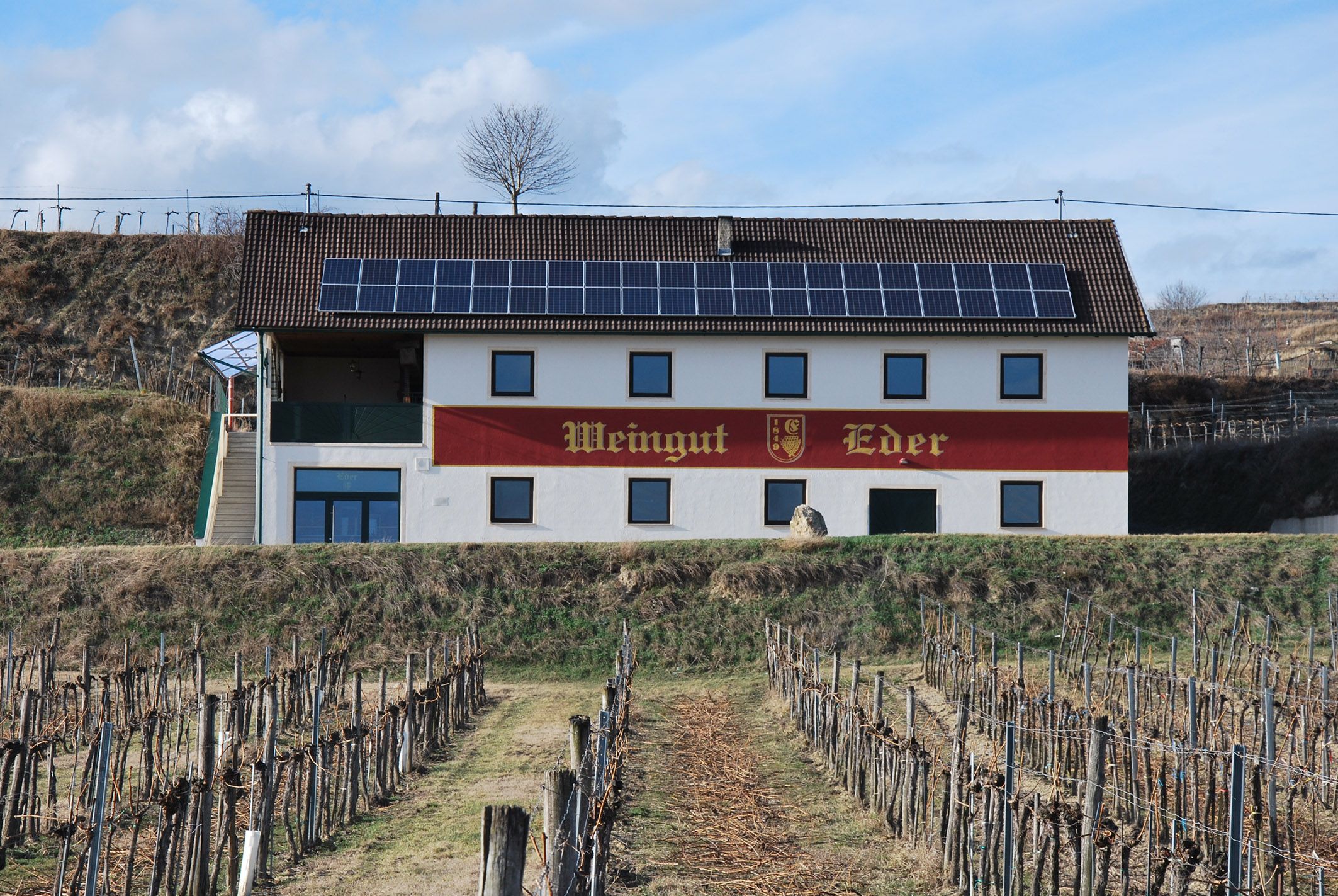 Weingut Eder mit Solarpanelen auf dem Dach und Weinreben im Vordergrund.