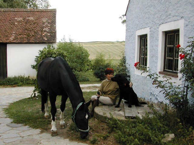 Eine Person sitzt neben einem schwarzen Hund vor einem blauen Haus, während ein schwarzes Pferd Gras frisst.