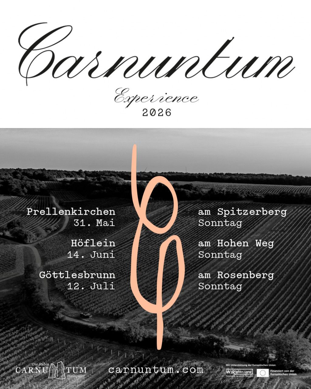 Carnuntum Experience - Göttlesbrunn