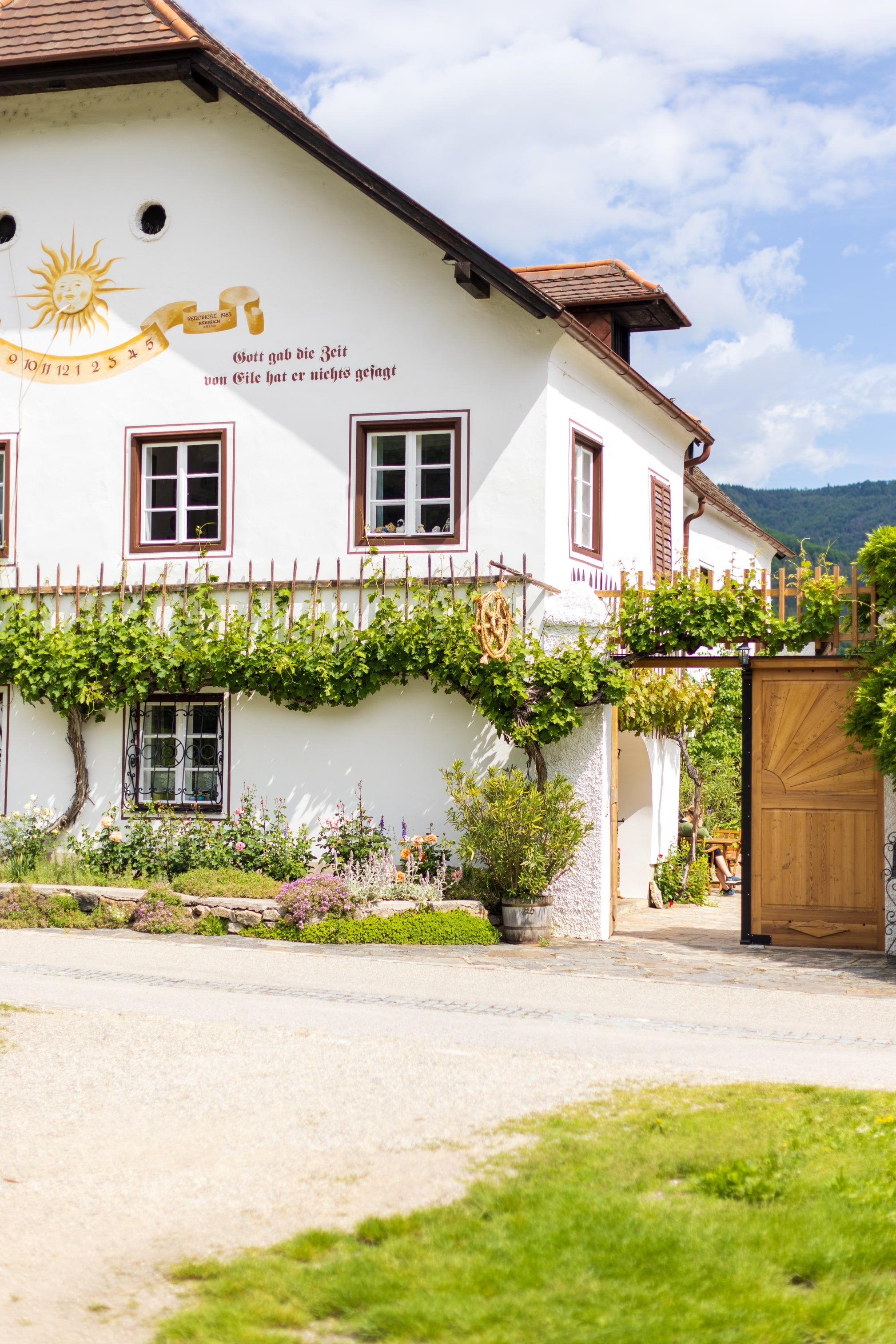 Weinhauer Brustbauer