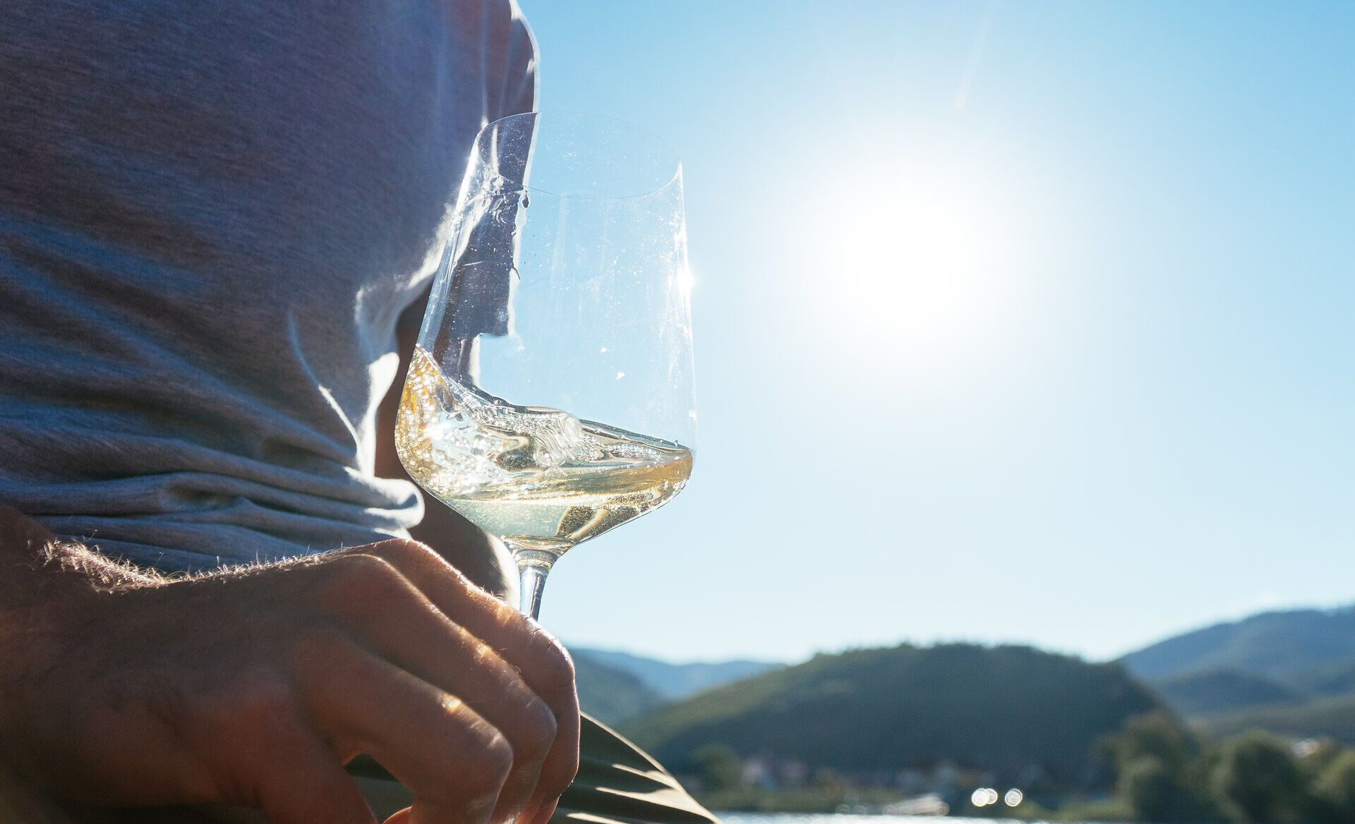 Genießen Sie die sanfte Brise und die strahlende Sonne während einer entspannenden Zillenfahrt auf der Donau. Umgeben von den malerischen Weinbergen der Wachau, bietet sich ein atemberaubender Blick auf die idyllische Landschaft, die zum Verweilen einlädt.