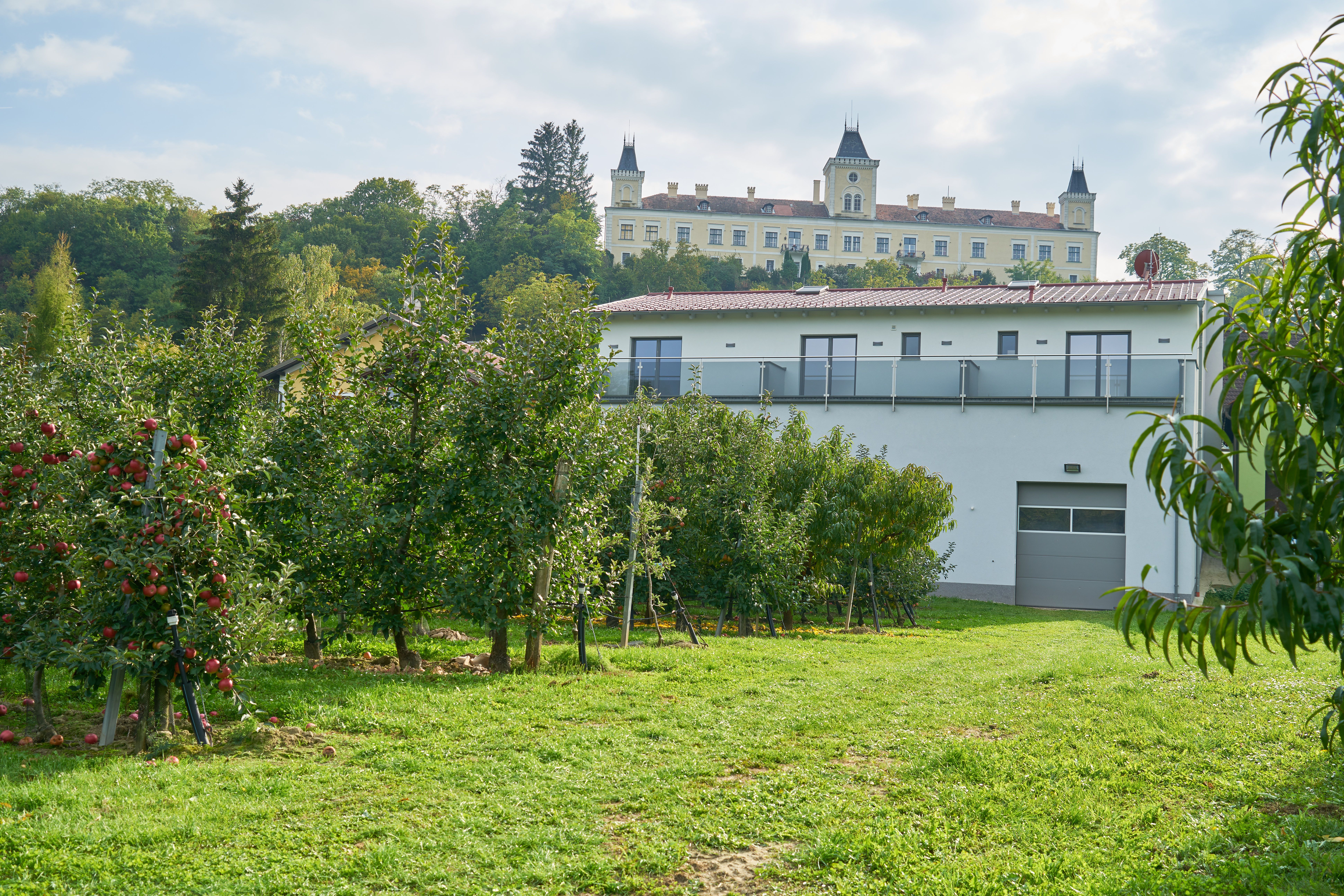 Schloss Wolfsberg im Hintergrund mit Obstgarten im Vordergrund.