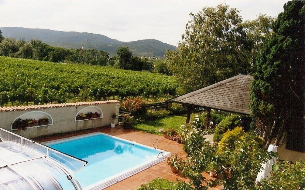 Garten mit Pool, Pavillon und Weinbergen im Hintergrund.
