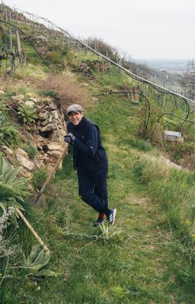 Mann arbeitet mit Werkzeug an einer Trockensteinmauer im Weingarten; rundherum stehen Rebzeilen am Hang, im Hintergrund öffnet sich der Blick ins Tal.