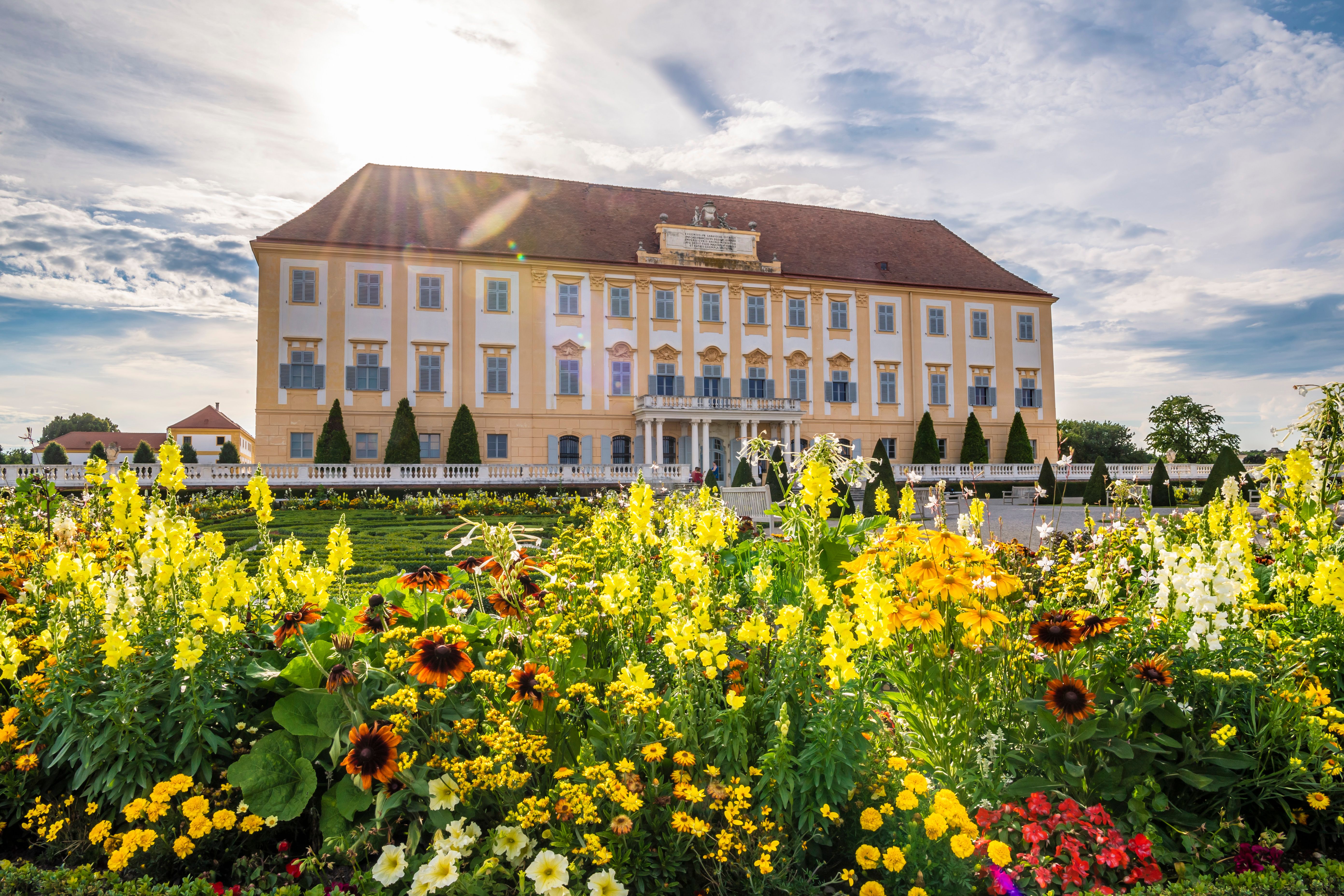 Hoch oben auf dem Hügel thront das Benediktinerstift Göttweig majestätisch über dem Donautal. Die sanften Hügel und die glitzernde Donau im Sonnenlicht schaffen eine malerische Kulisse, die zum Verweilen und Entdecken einlädt.