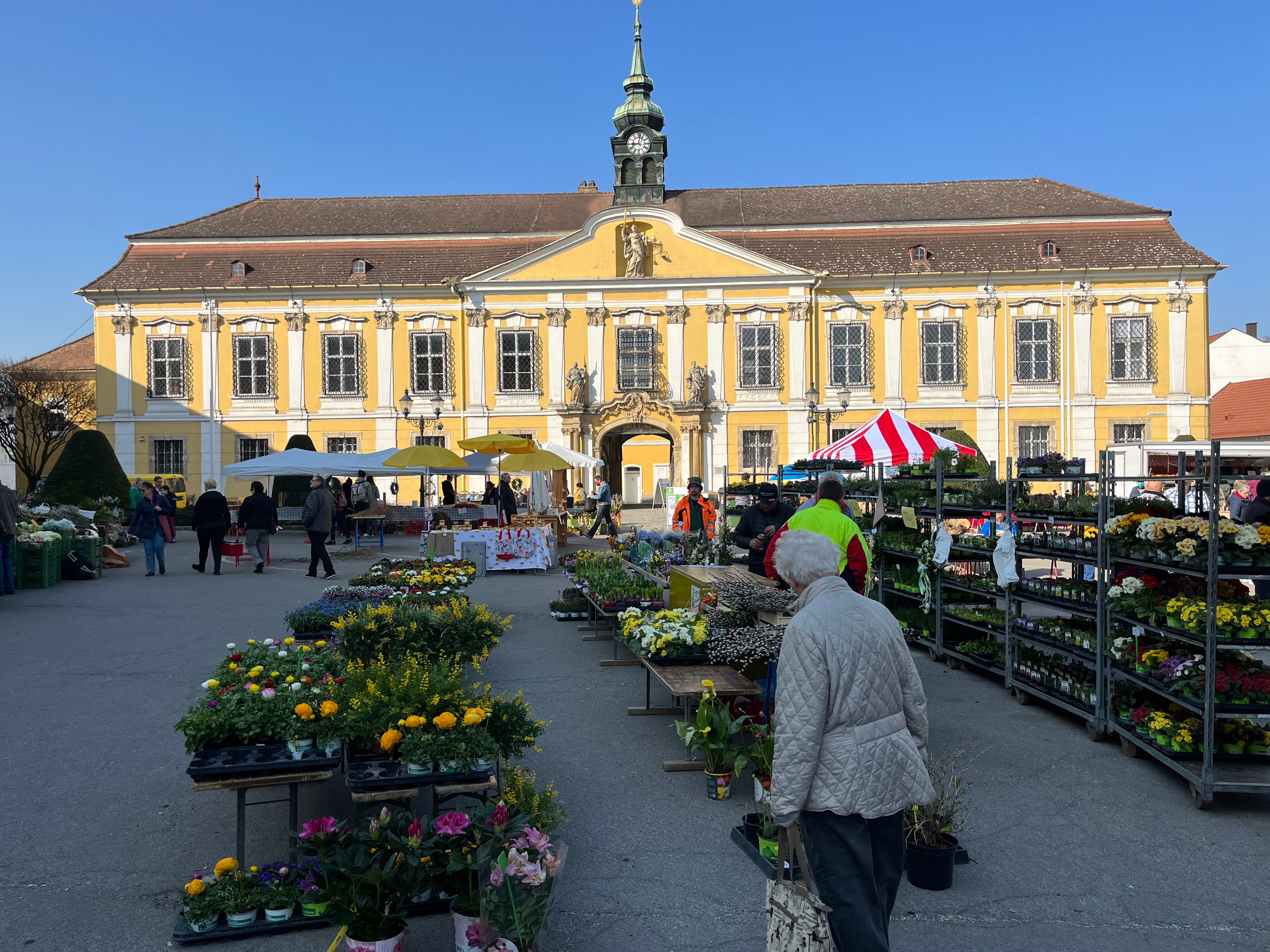 Wochenmarkt in Stockerau mit Blumenständen vor einem gelben Barockgebäude.