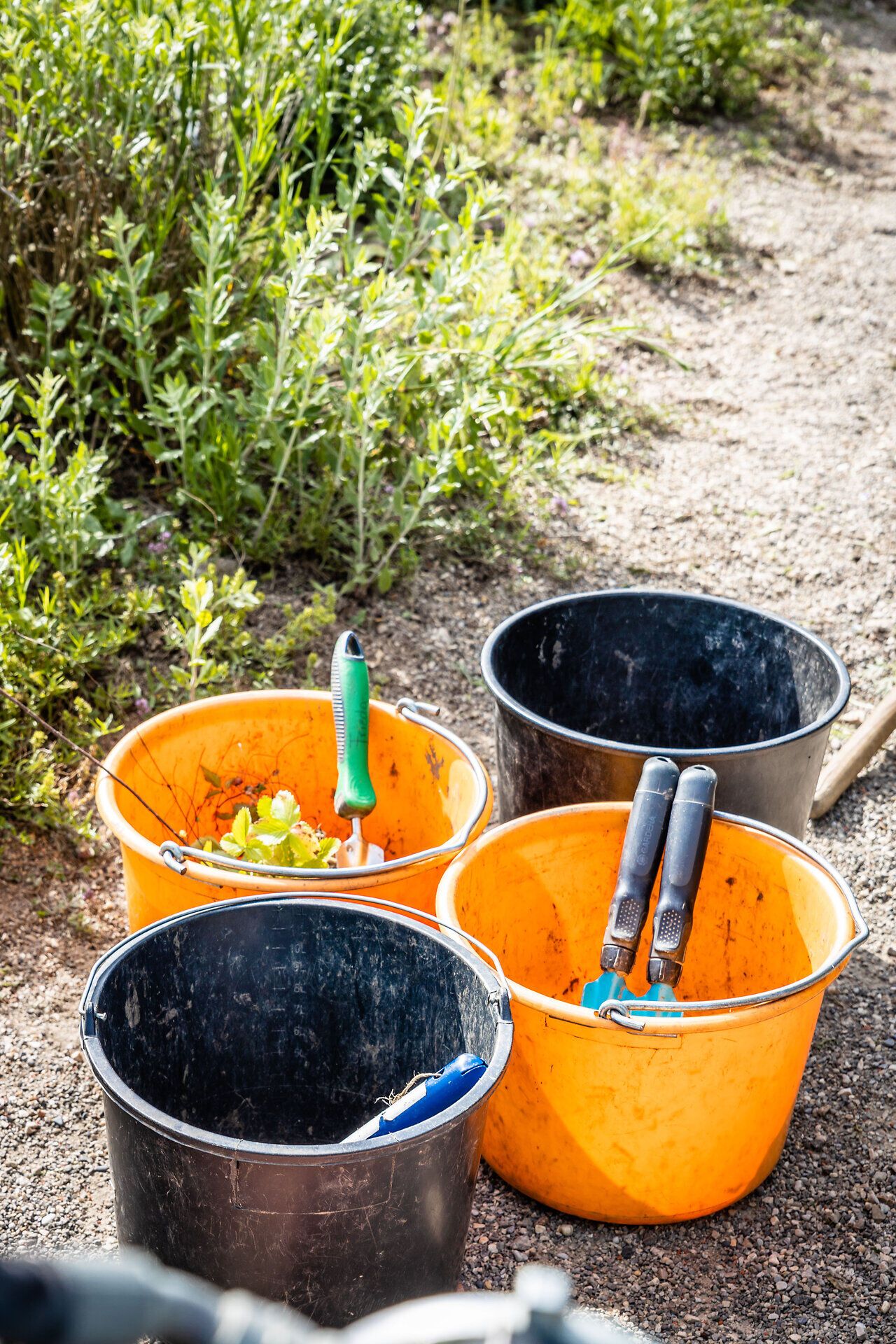 Mehrere Eimer mit Gartengeräten und Pflanzen bei der Gartenarbeit.