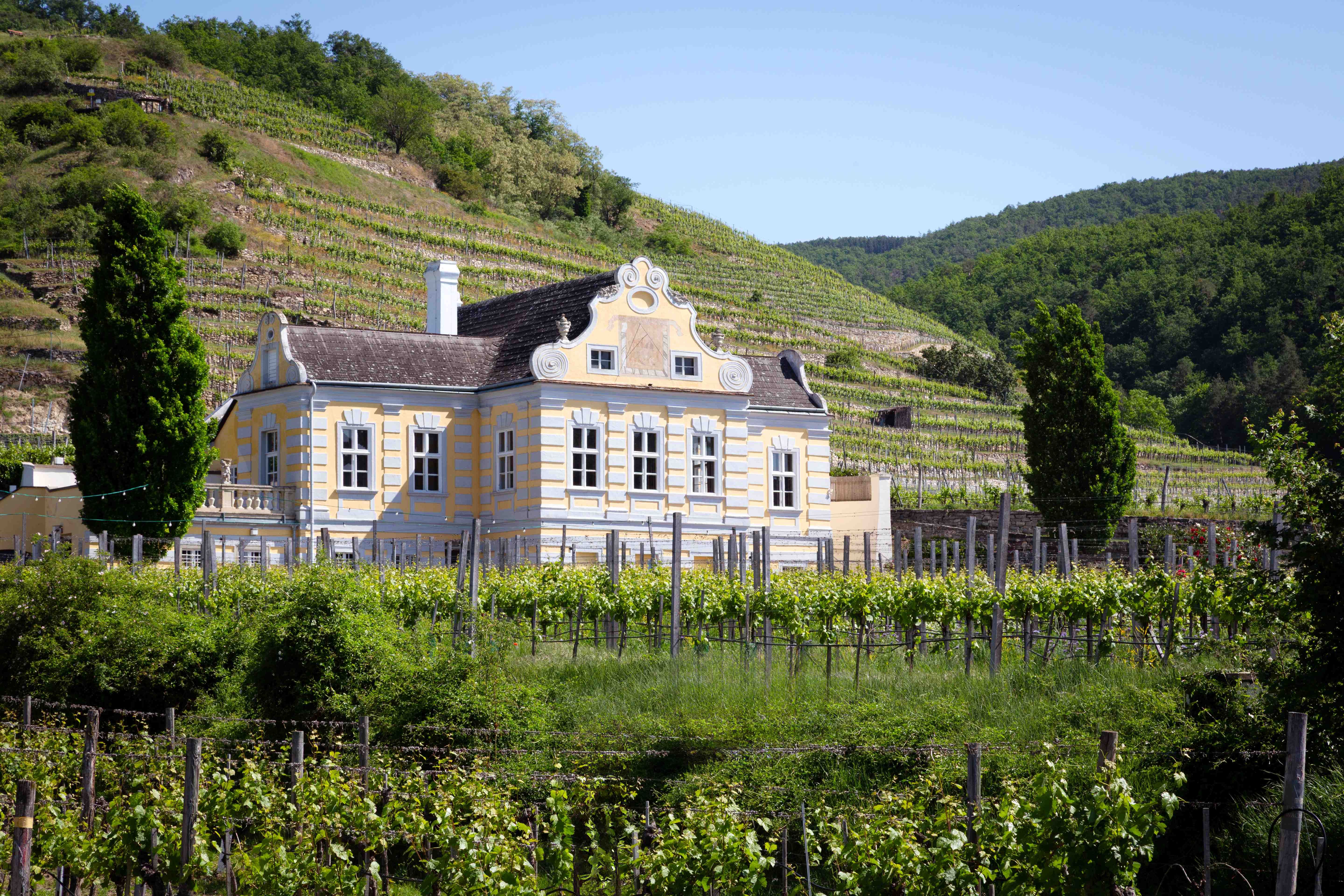 Kellerschlössel der Domäne Wachau