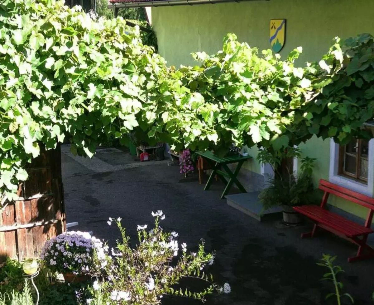 Innenhof mit Blumen und Sitzmöglichkeit