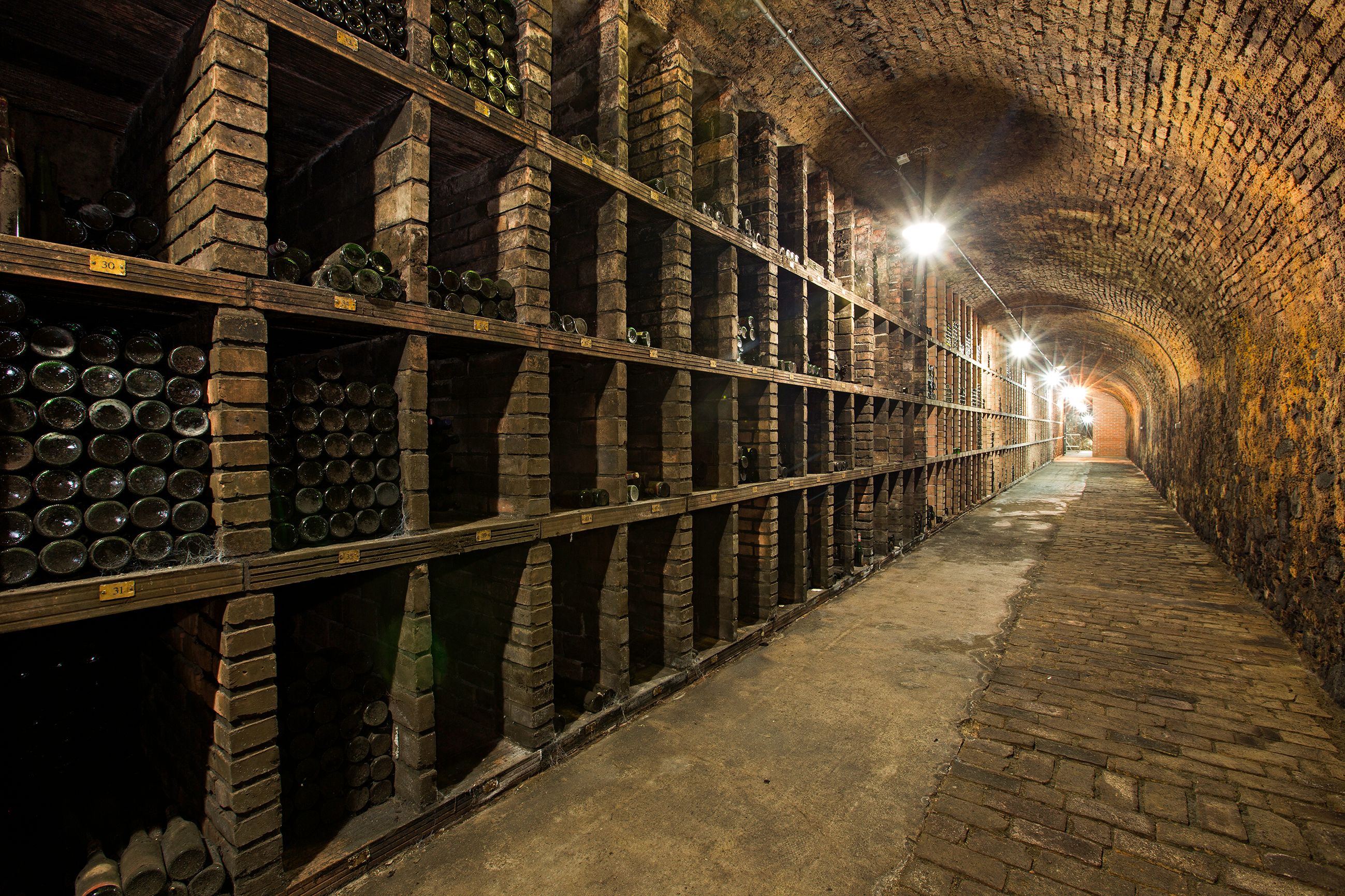 Domäne Wachau Weinkeller