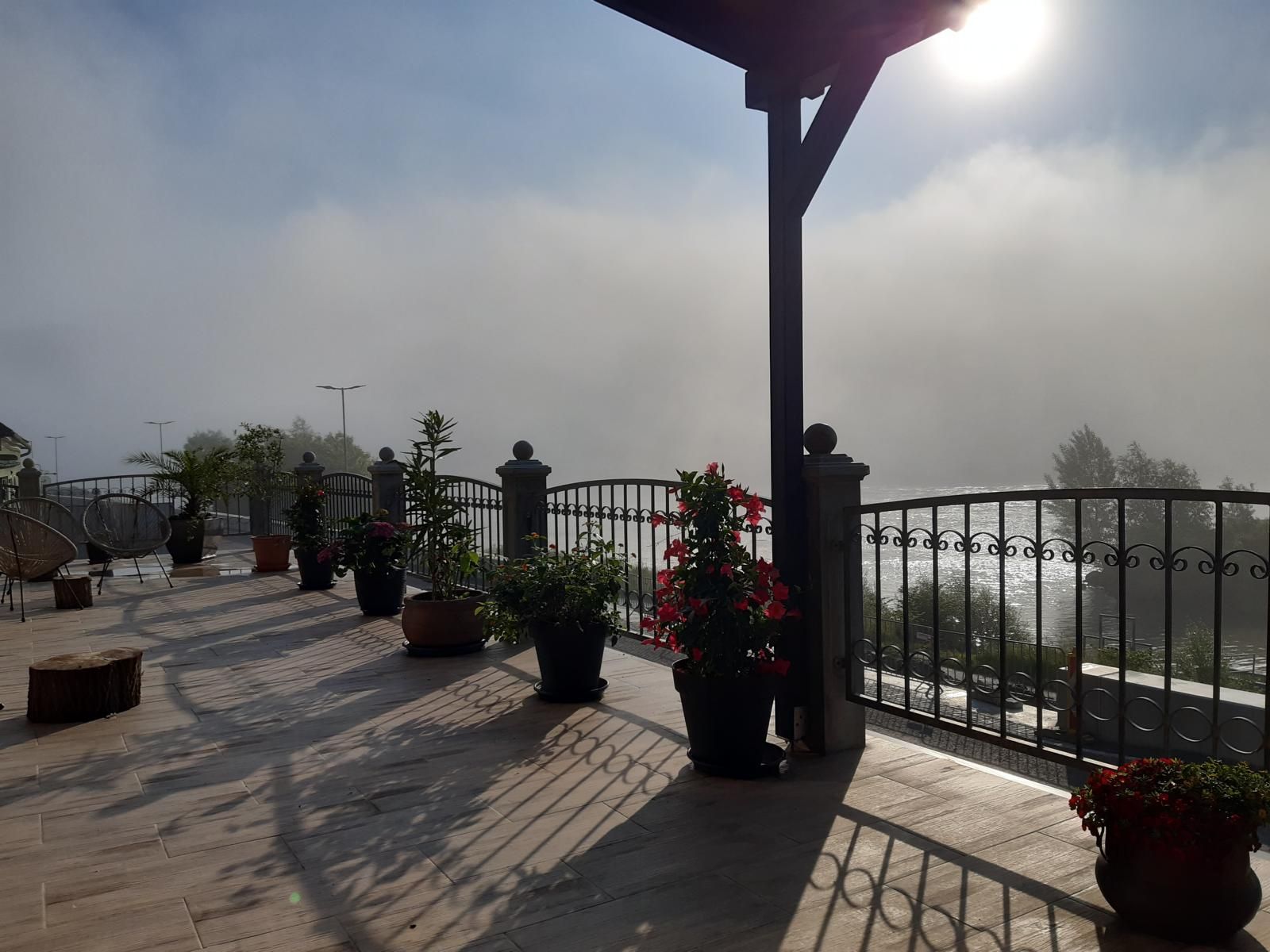 Terrasse mit Pflanzen, Geländer und Nebel im Hintergrund.