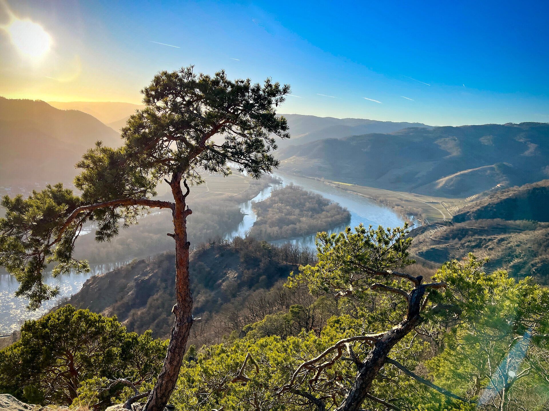 Die sanften Hügel und das glitzernde Wasser des Flusses schaffen eine malerische Kulisse, die zum Verweilen einlädt. Ein majestätischer Baum ragt stolz in den Himmel und bietet einen perfekten Aussichtspunkt auf die atemberaubende Landschaft. Hier verschmelzen Natur und Ruhe zu einem unvergesslichen Erlebnis.