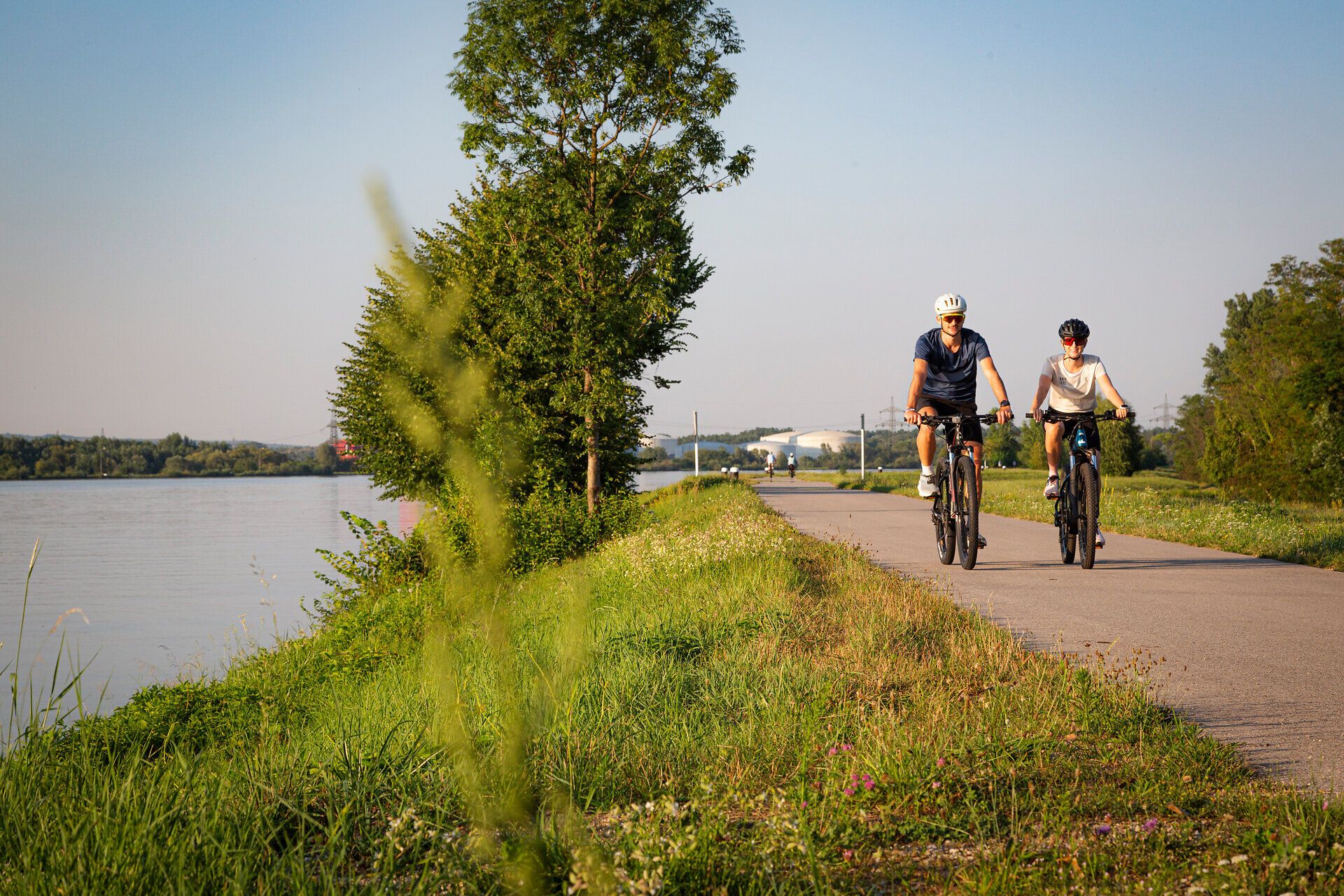 Zwei Radfahrer genießen die sanfte Brise und die malerische Aussicht entlang des Donauradwegs. Umgeben von üppigem Grün und dem sanften Plätschern des Wassers, vermittelt die Szenerie ein Gefühl von Freiheit und Abenteuer. Ideal für alle, die die Natur aktiv erleben möchten.