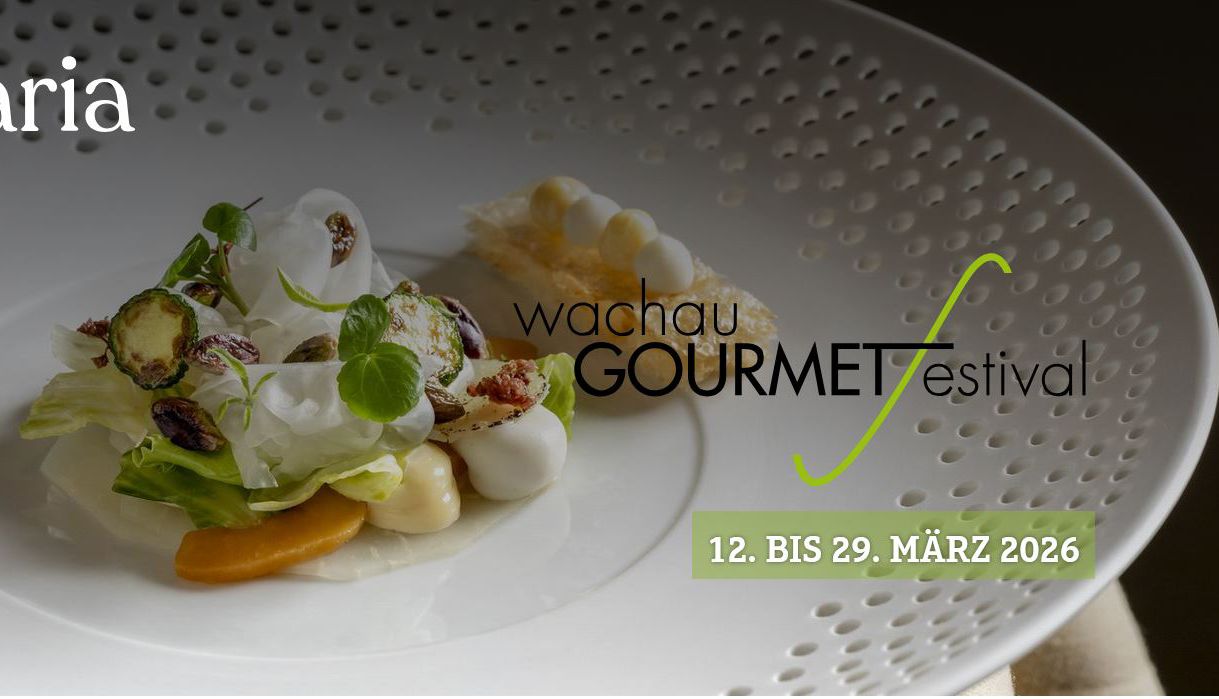 Eine kunstvoll drapierte Speise auf einem weißen Teller.