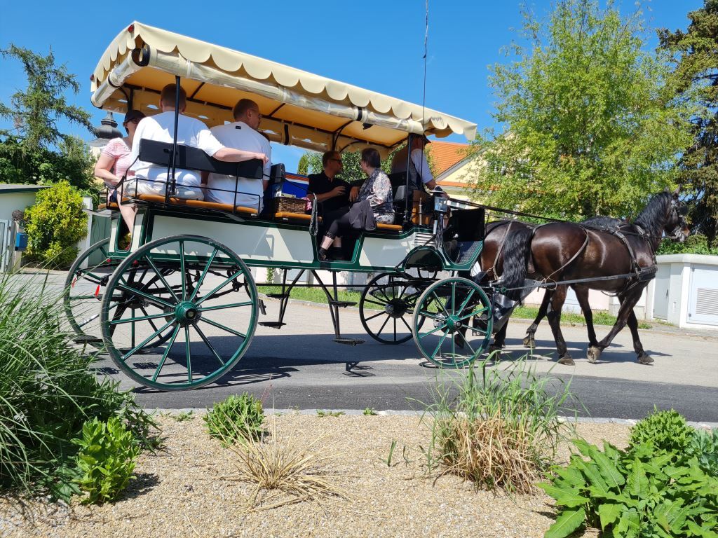 Ein Fiaker mit Holzwagen und Pferden
