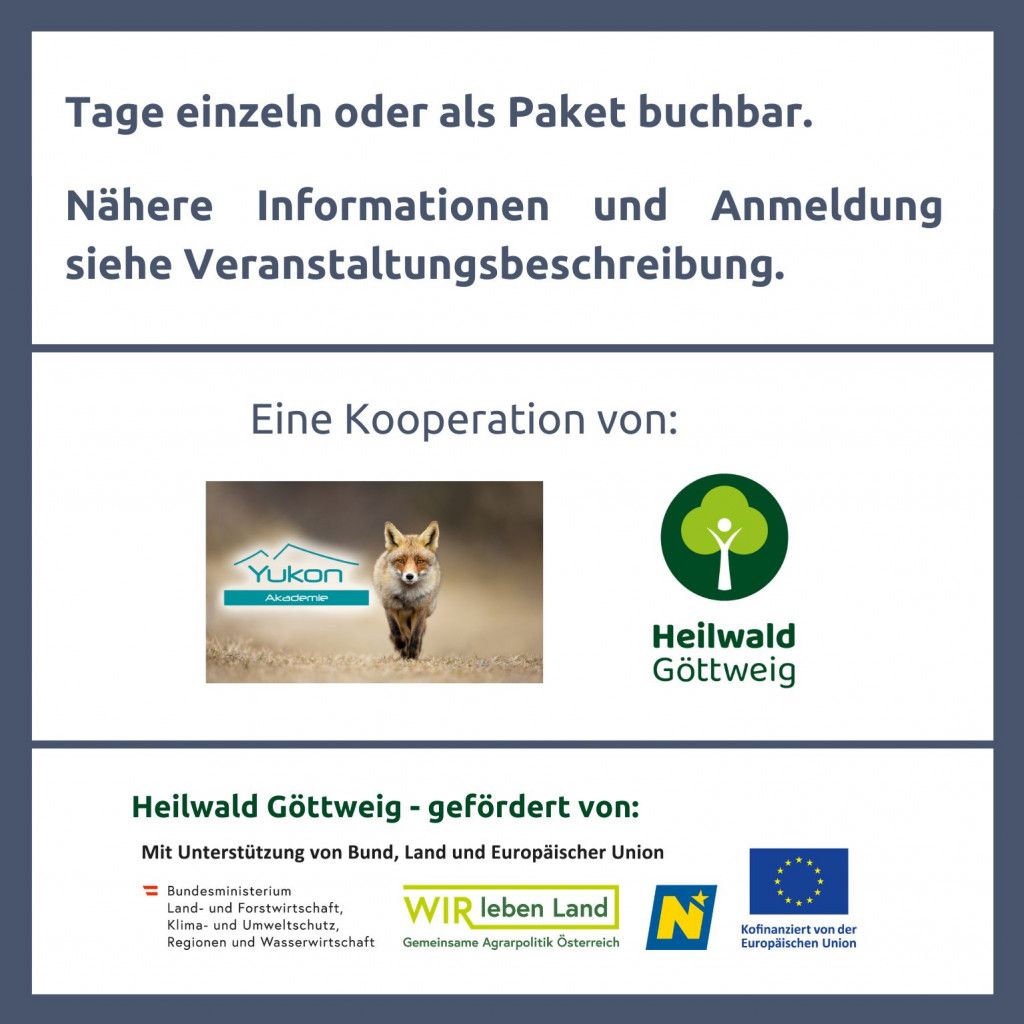 Flyer Seite 3_Kindersommercamp im Heilwald Göttweig