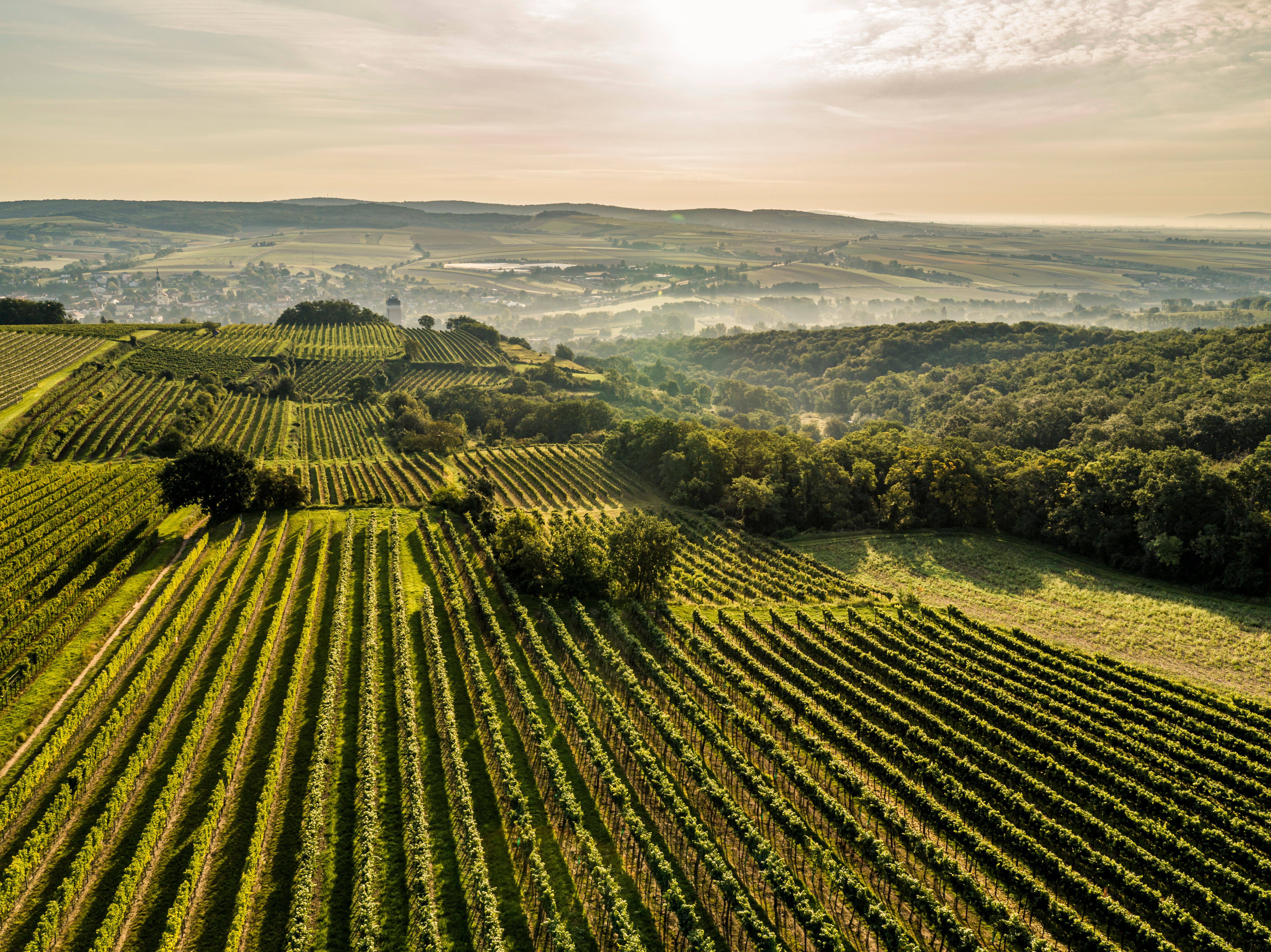 Luftaufnahme Ried Hohenberg