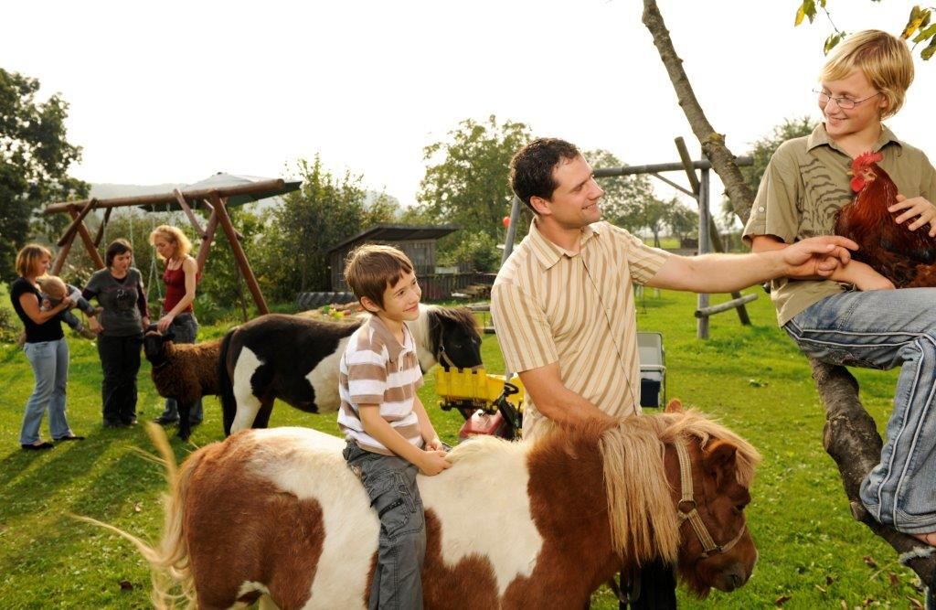Menschen und Tiere auf einem Bauernhof, Kinder reiten auf Ponys, ein Junge hält einen Hahn.