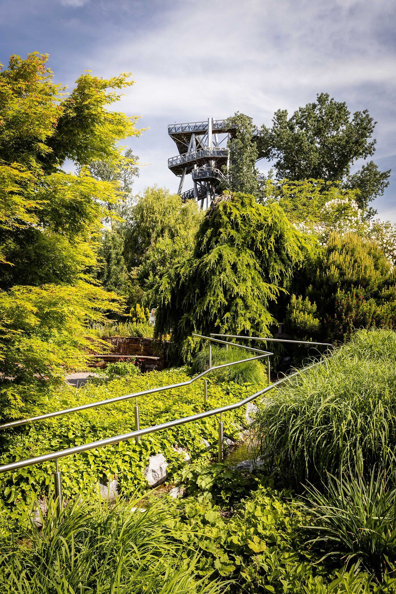 Inmitten üppiger grüner Pflanzen und sanfter Hügel entfaltet sich eine Oase der Ruhe. Der Blick auf die beeindruckende Aussichtsplattform lädt dazu ein, die Schönheit der Natur zu genießen und die frische Luft des Frühlings zu atmen.