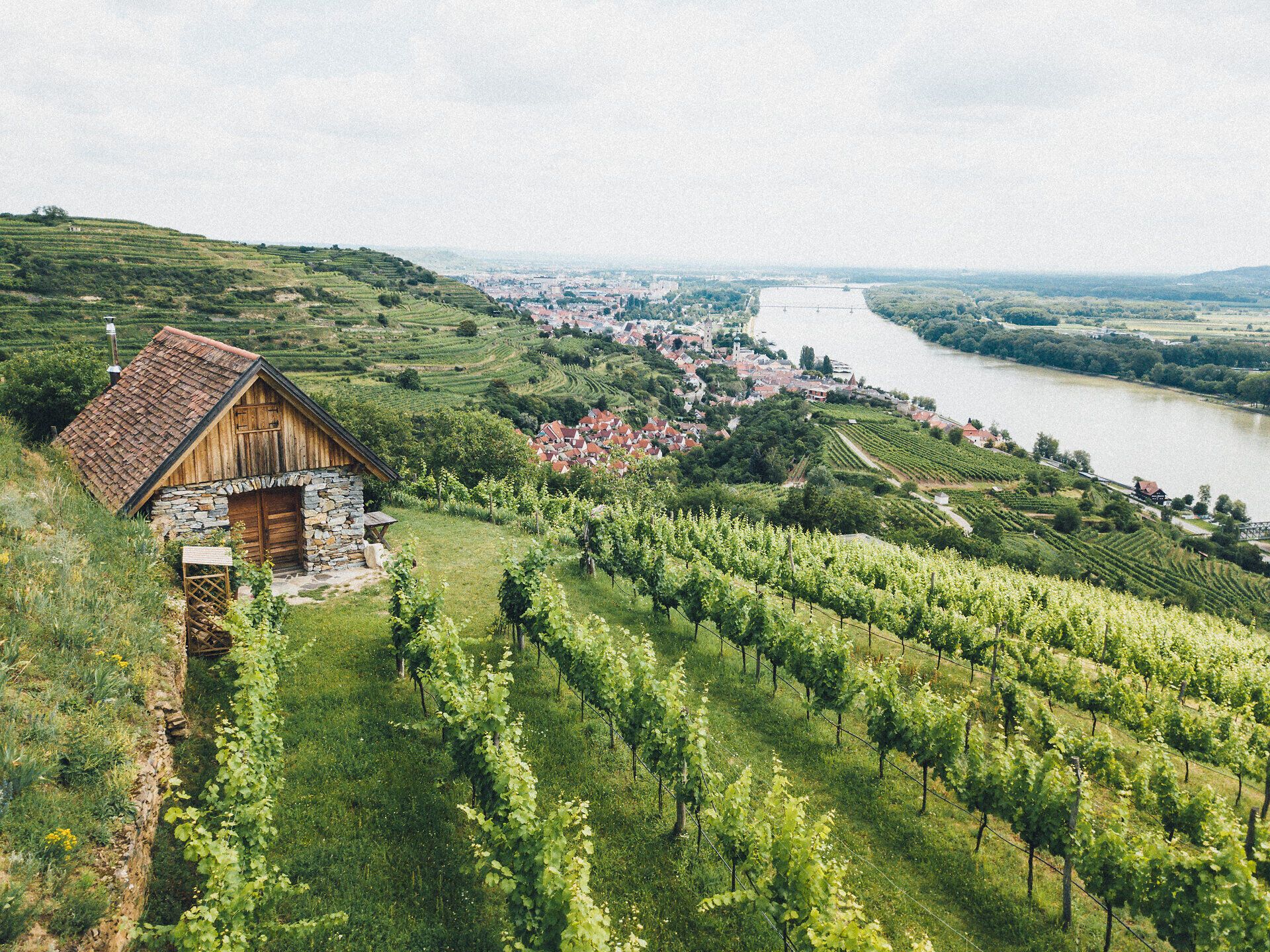 Sanfte Hügel, bedeckt mit üppigen Weinreben, erstrecken sich bis zum glitzernden Wasser der Donau. Die idyllische Landschaft lädt dazu ein, die Seele baumeln zu lassen und die frische Luft der Weinregion zu genießen. Ein perfekter Ort für Weinliebhaber und Naturliebhaber gleichermaßen.
