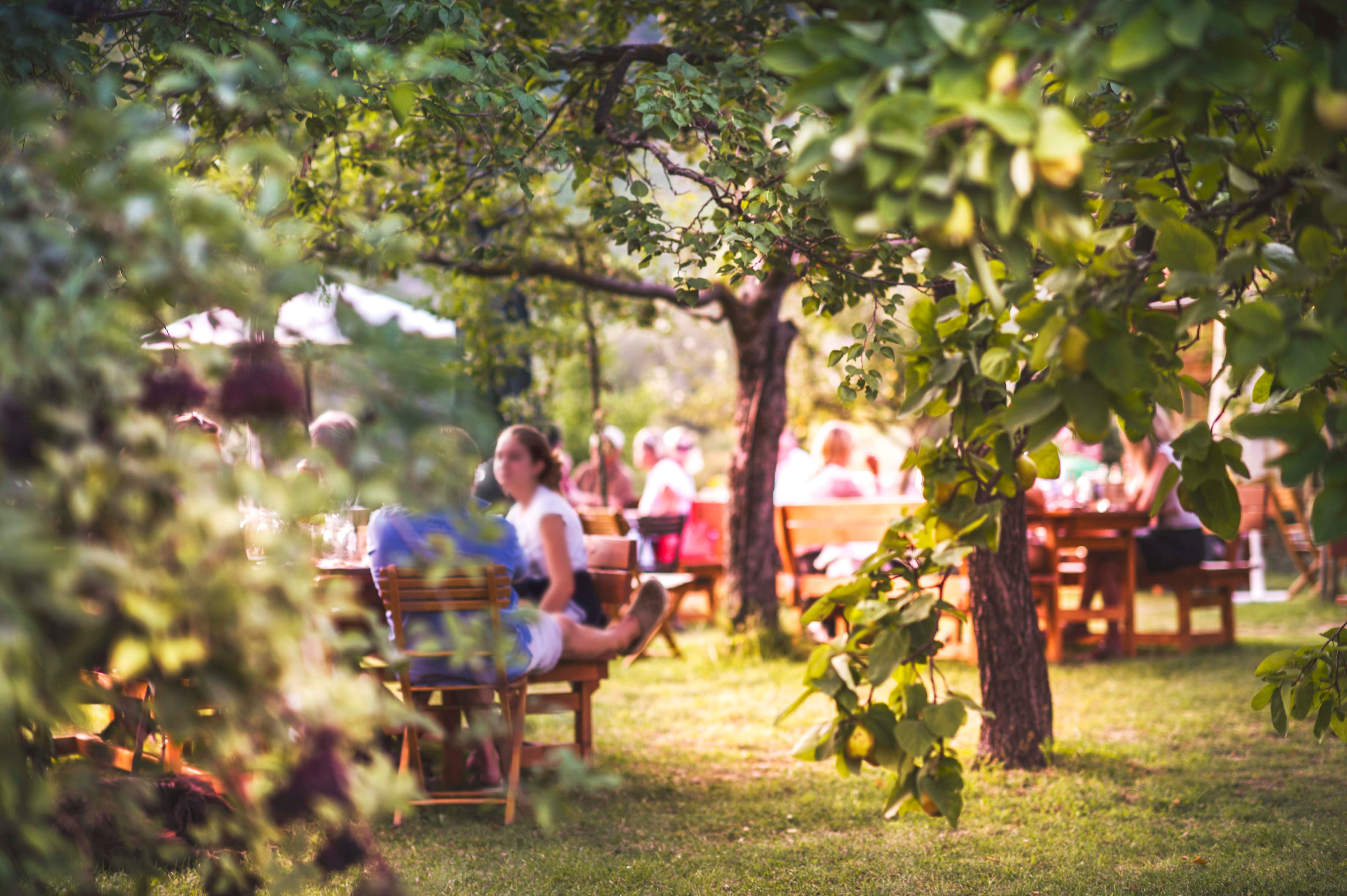 Menschen sitzen im Garten eines Heurigen, umgeben von Bäumen und Pflanzen.
