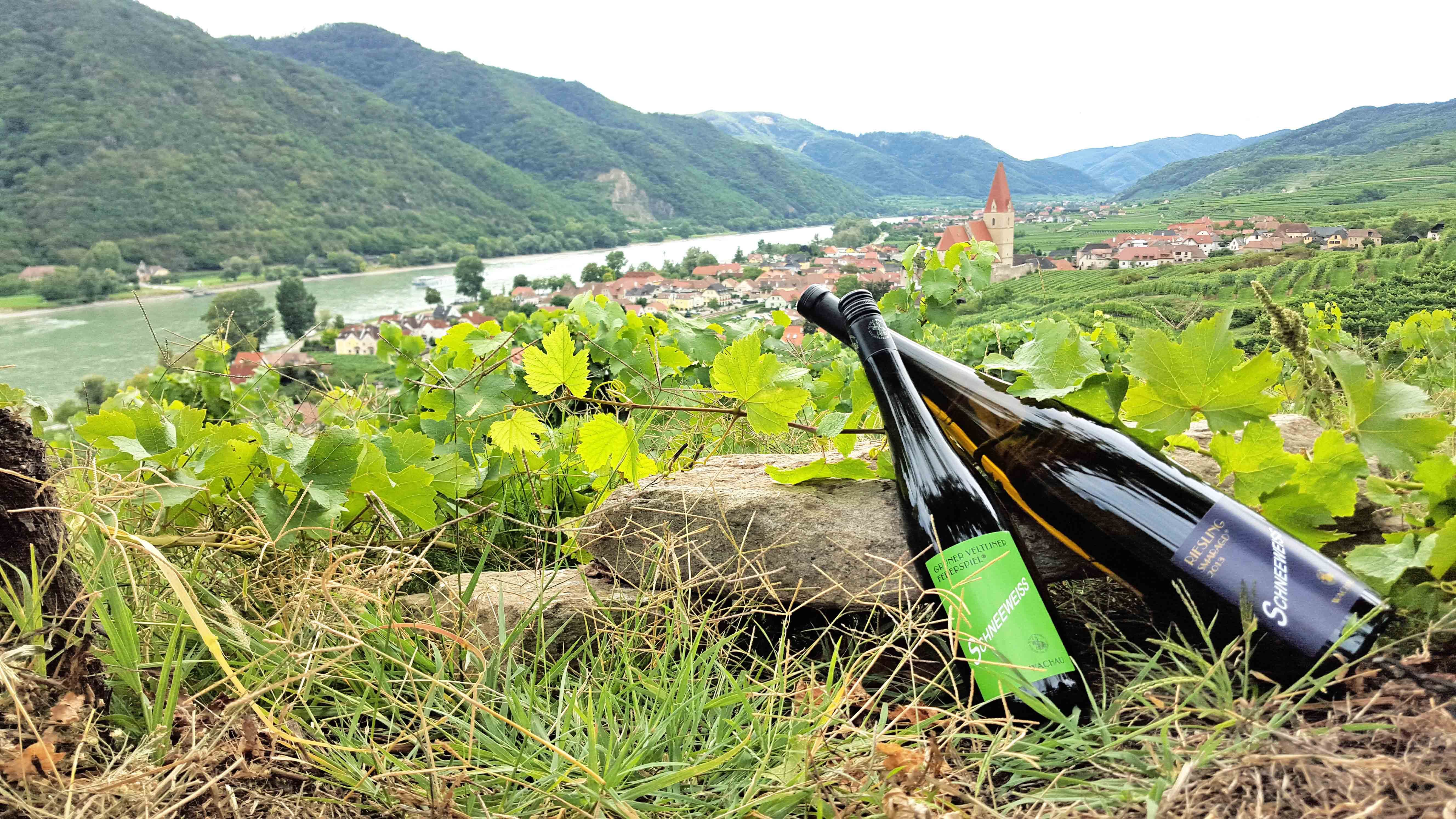 Két üveg bor a szőlőskertben, kilátással a folyóra és a falura.