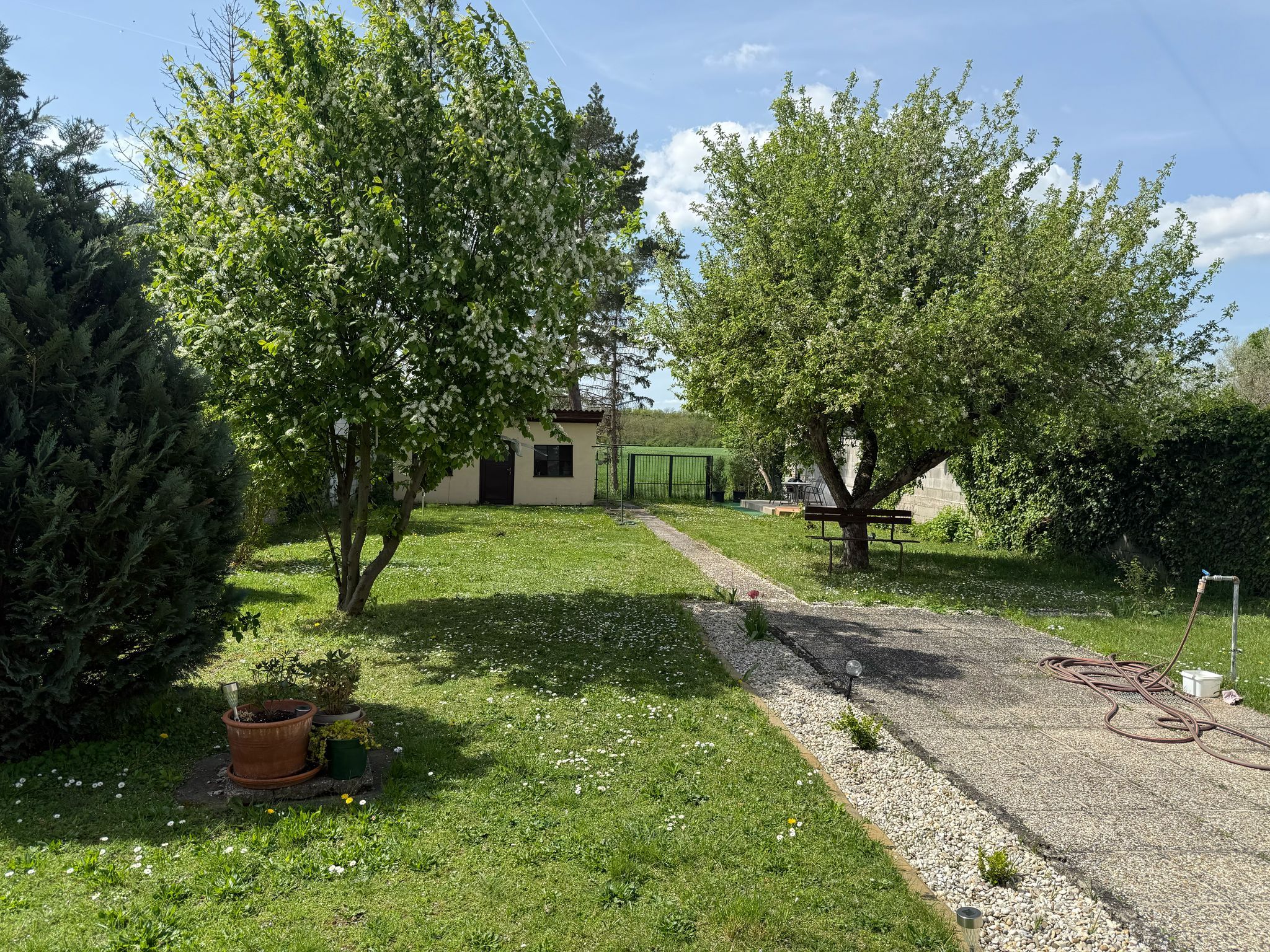 Ein grüner Garten mit Bäumen, einem Weg und einem kleinen Gebäude im Hintergrund.