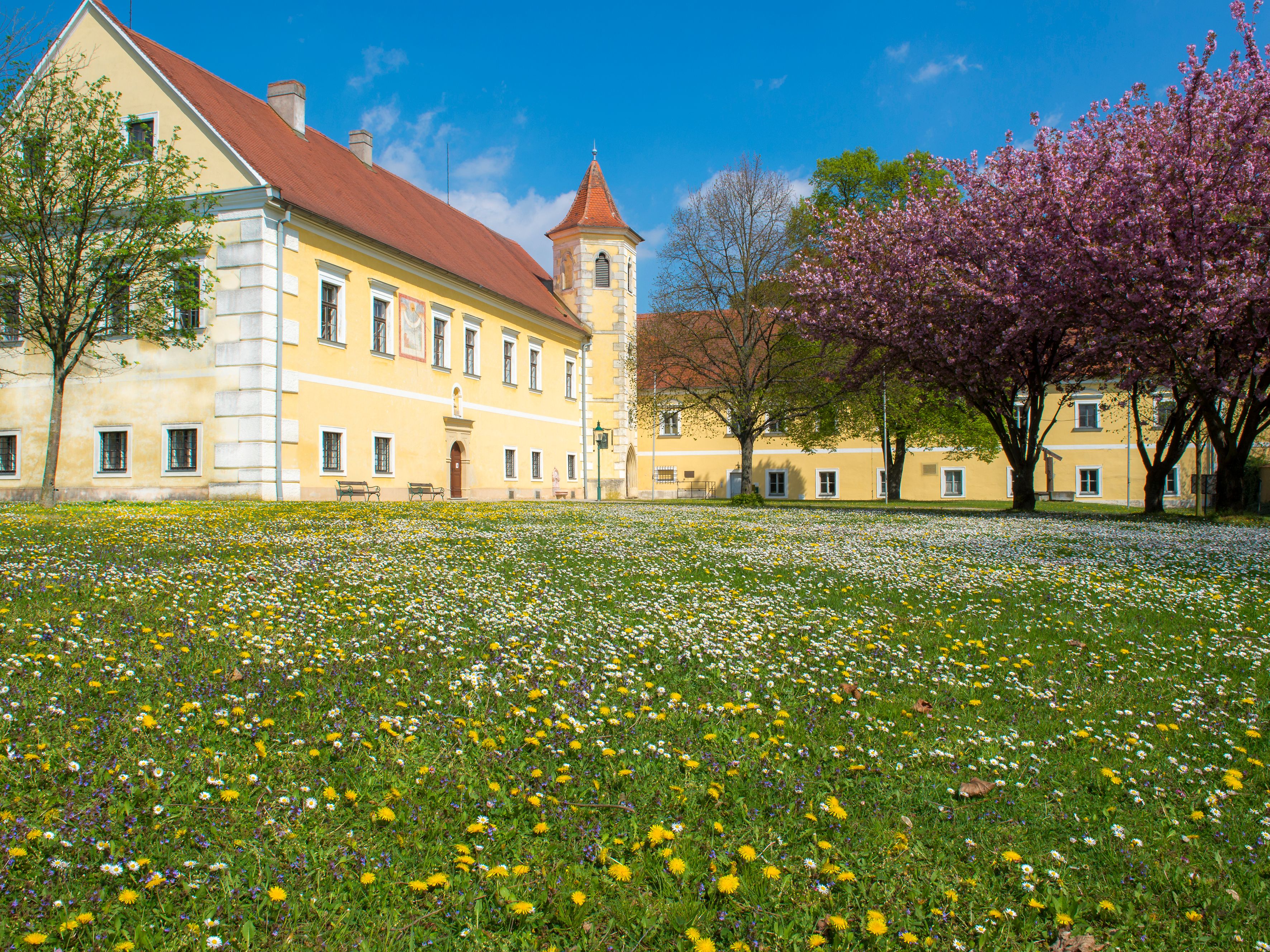Schloss Atzenbrugg mit blühenden Bäumen und Wiese im Vordergrund.