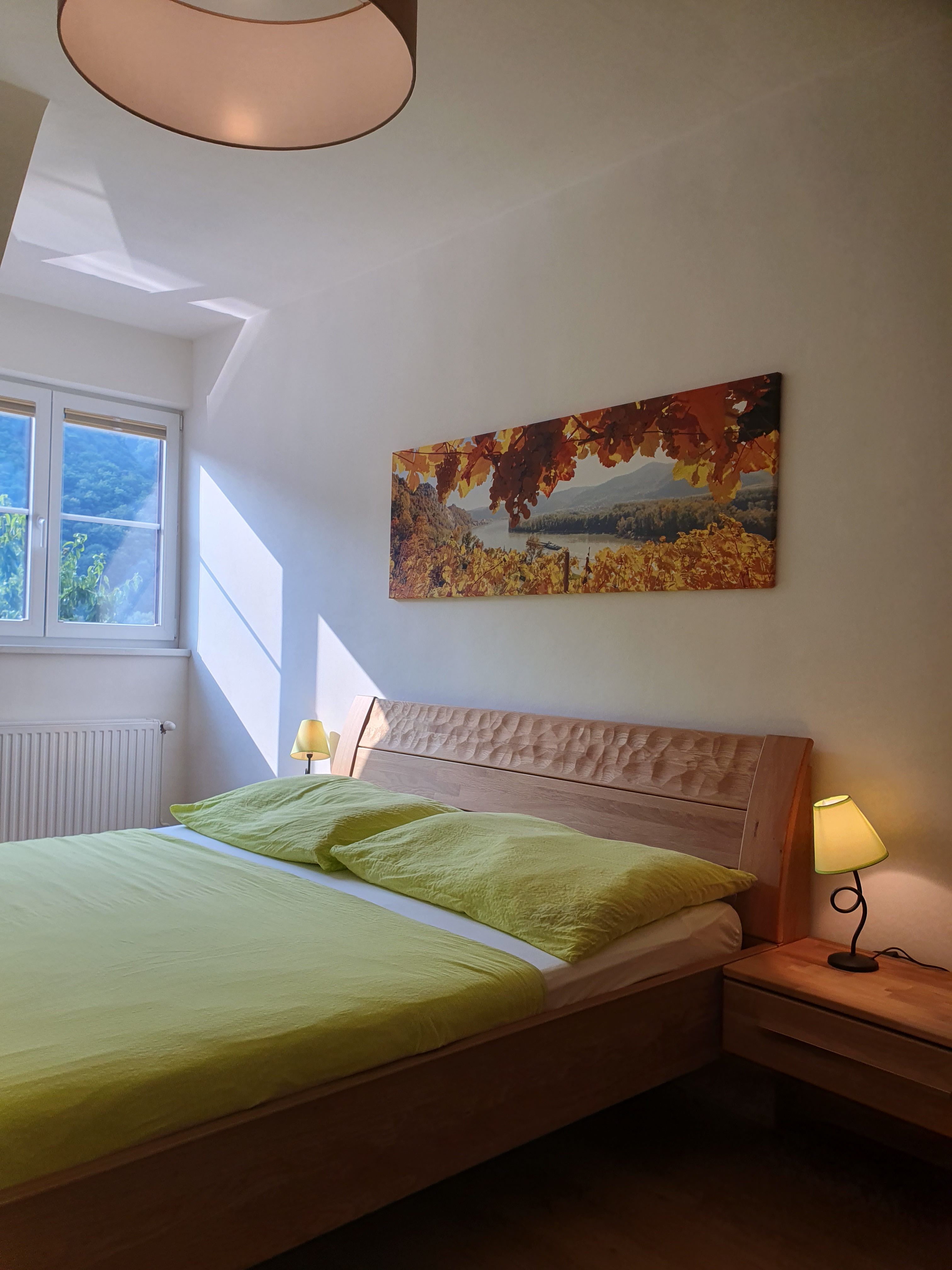 Pestovanie vína a izby pre hostí Wagner