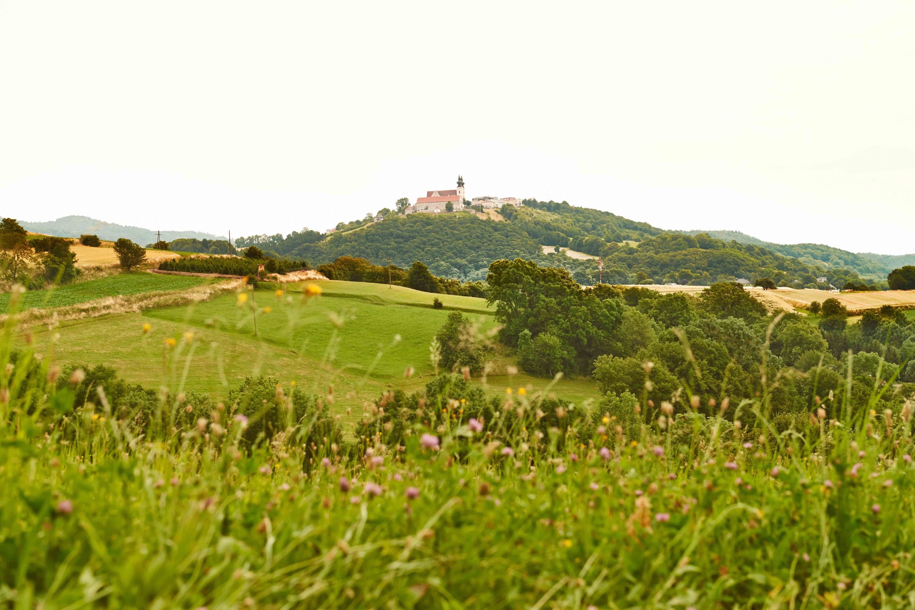 Landschaft mit Hügel und Kirche im Hintergrund, umgeben von grünen Feldern und Bäumen.