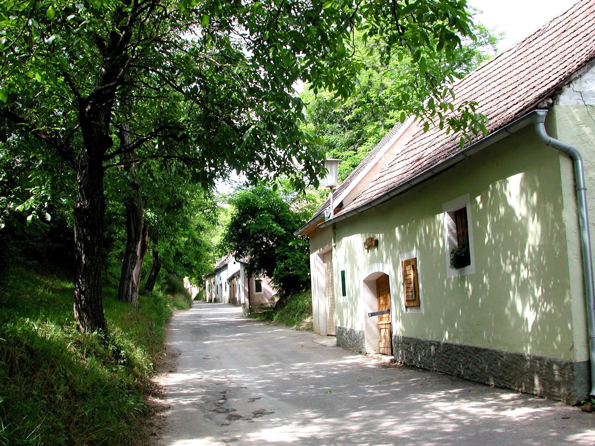 Eine schmale Straße in einer Kellergasse mit Bäumen und alten Gebäuden.
