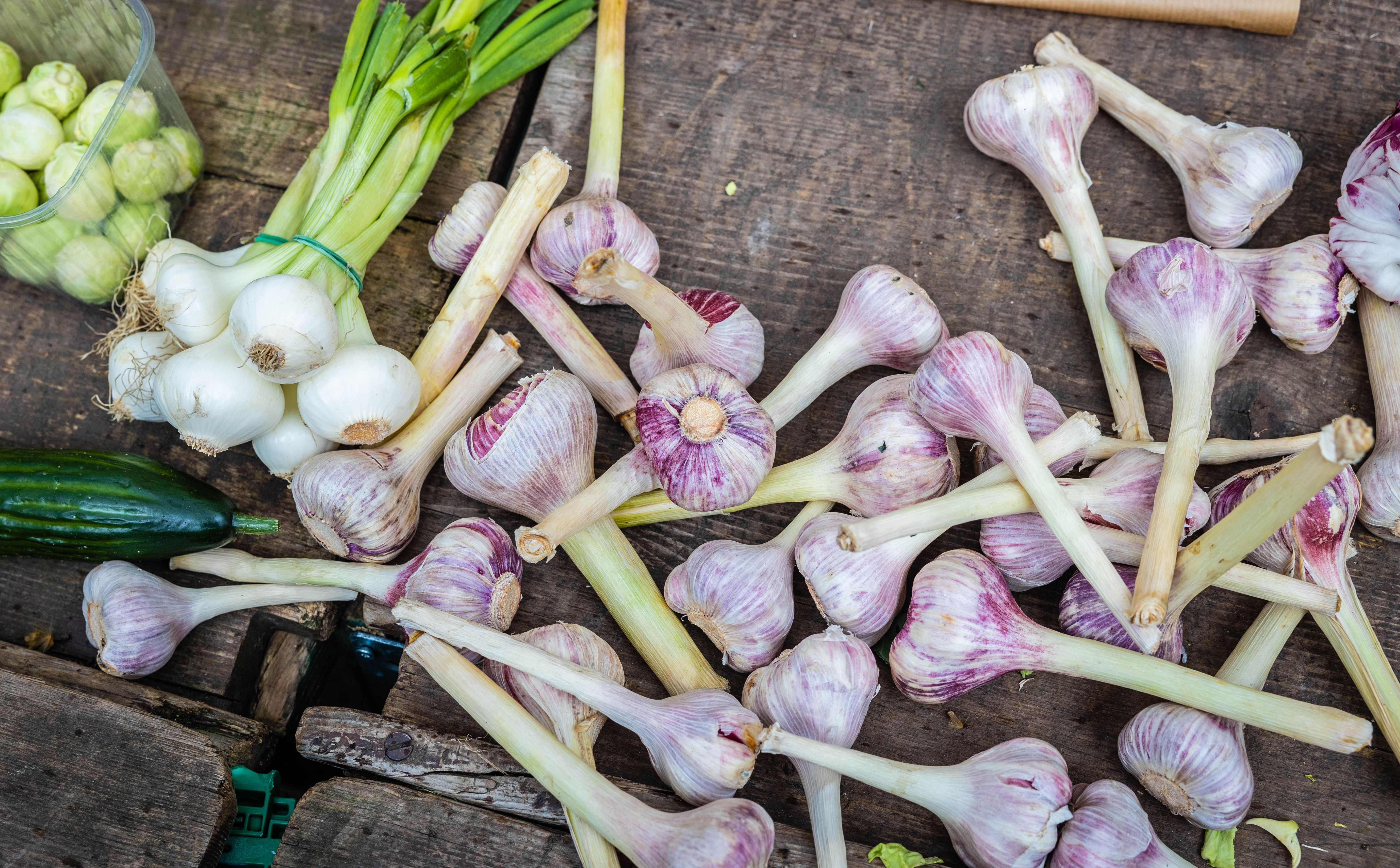 Schriftzug "Hofladen" auf einer Glasscheibe. 