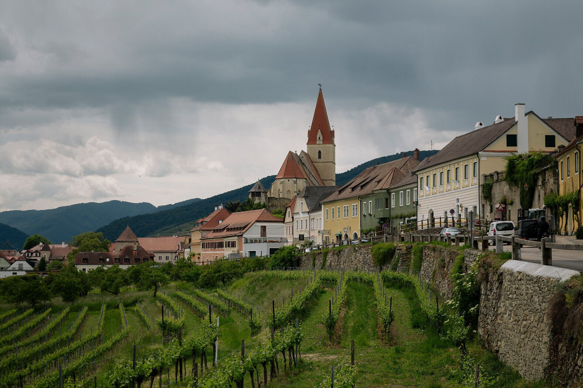 Blick entlang von Rebzeilen und einer Steinmauer auf die Häuserzeile von Weißenkirchen; darüber ragt der Kirchturm mit rotem Spitzdach vor einem wolkigen Himmel auf.