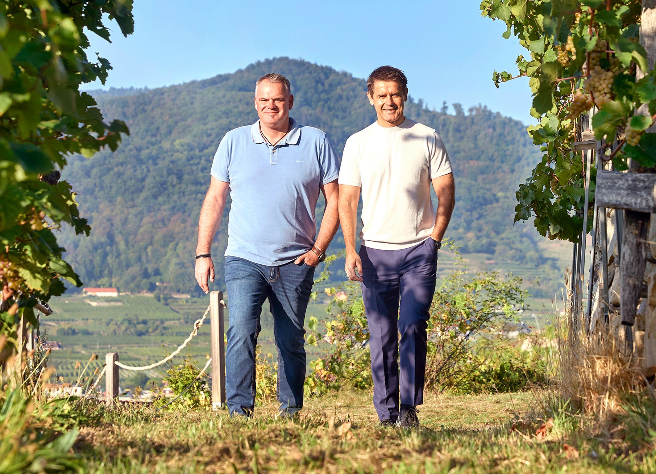 Franz Frischengruber und Roman Horwarth gehen in einem Weingarten spazieren