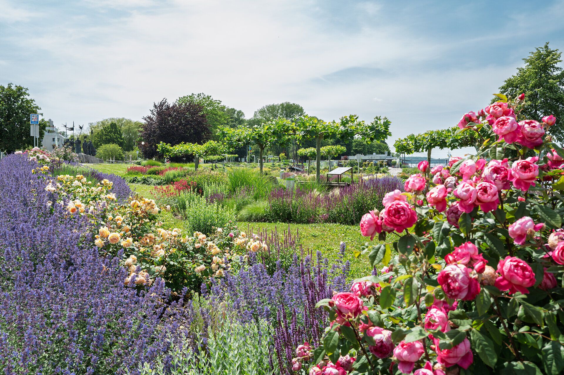 Donaulände in Tulln, blühende Sträucher, Bäume, Rosenbeete, blauer Himmel und Sonnenschein.