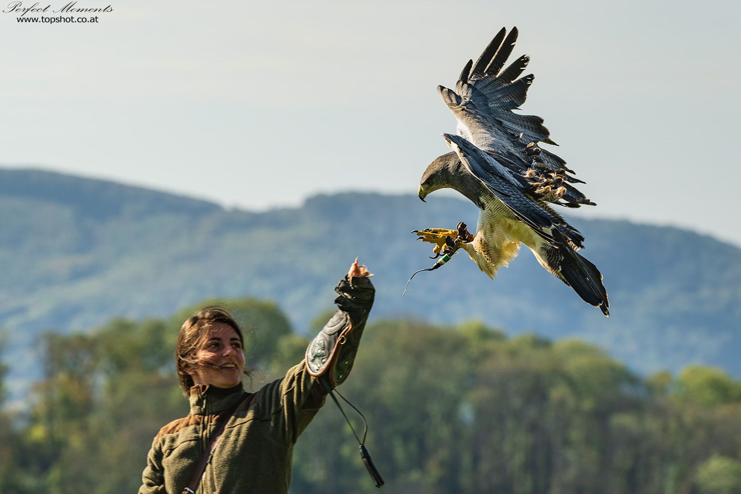 Eine Frau in grüner Kleidung hält einen großen Greifvogel auf ihrem behandschuhten Arm. Im Hintergrund sind Bäume und Hügel zu sehen.