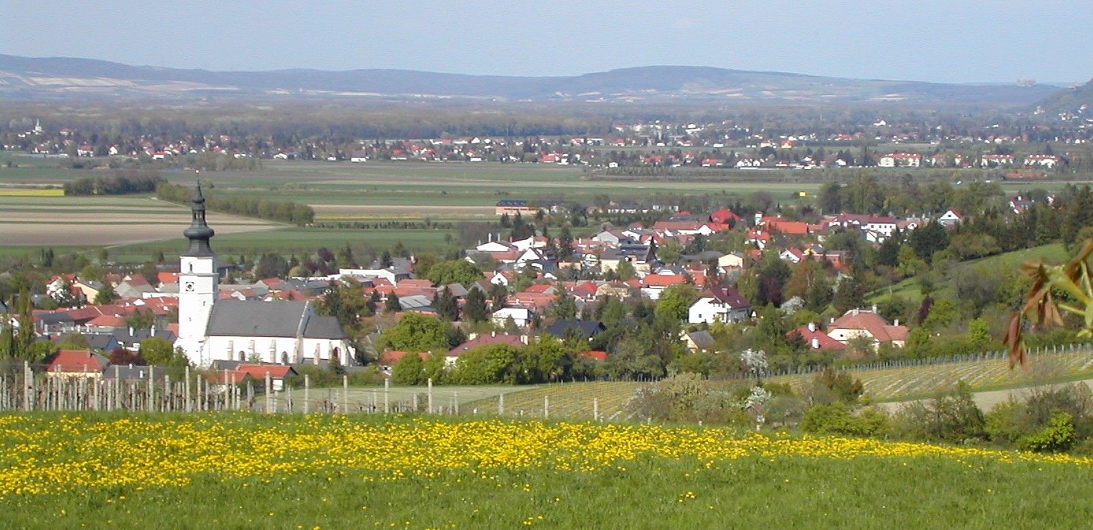 Blick auf Königstetten mit Kirche und umliegenden Feldern.