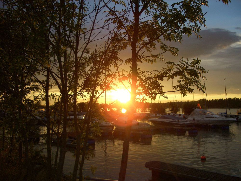 Sunset over a harbor with boats and trees in the foreground.