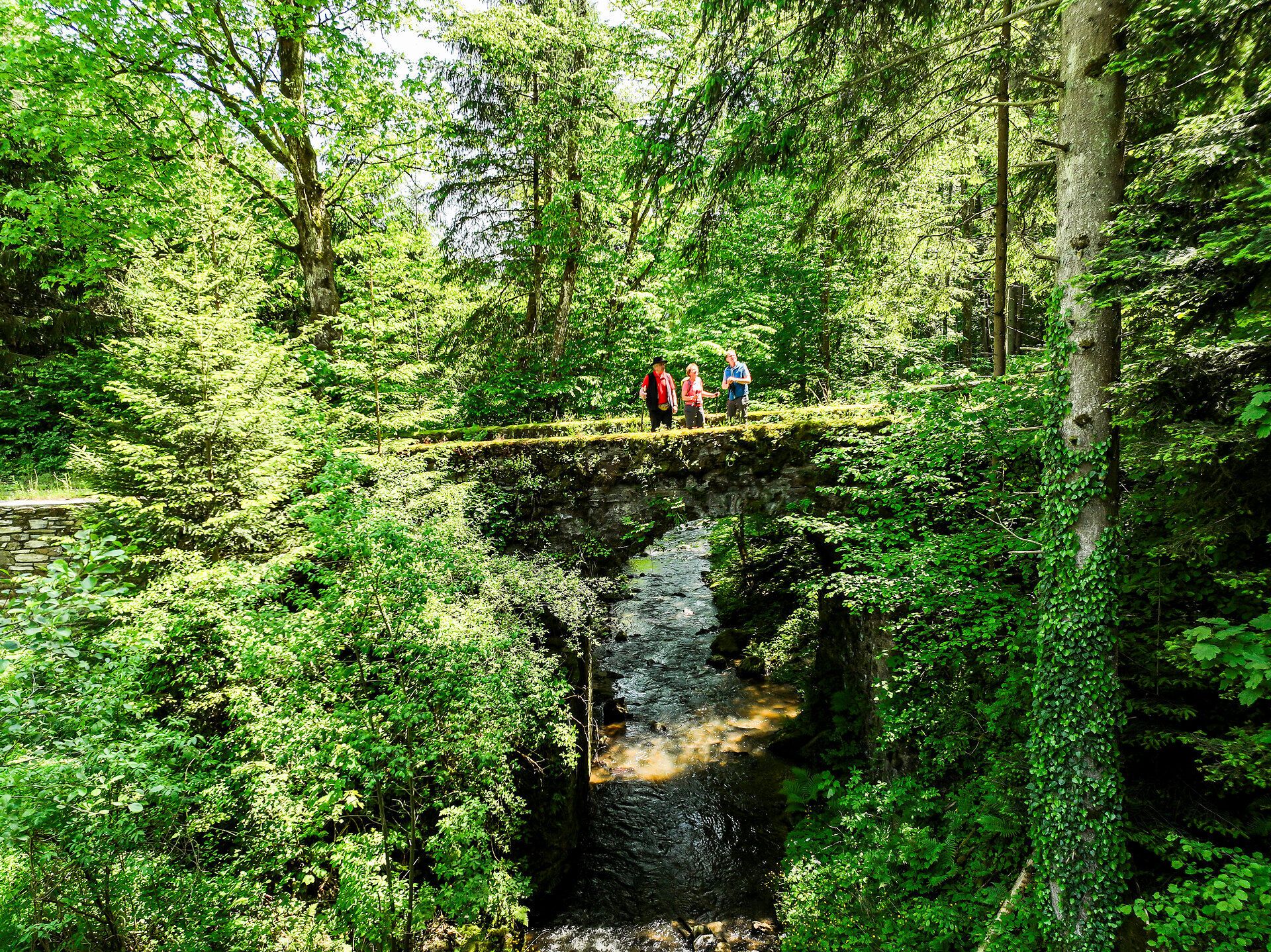 Eine malerische Brücke führt über einen glitzernden Bach, umgeben von üppigem Grün und hohen Bäumen. Wanderer genießen die frische Luft und die Ruhe der Natur, während sie die Schönheit der Landschaft in vollen Zügen erleben.