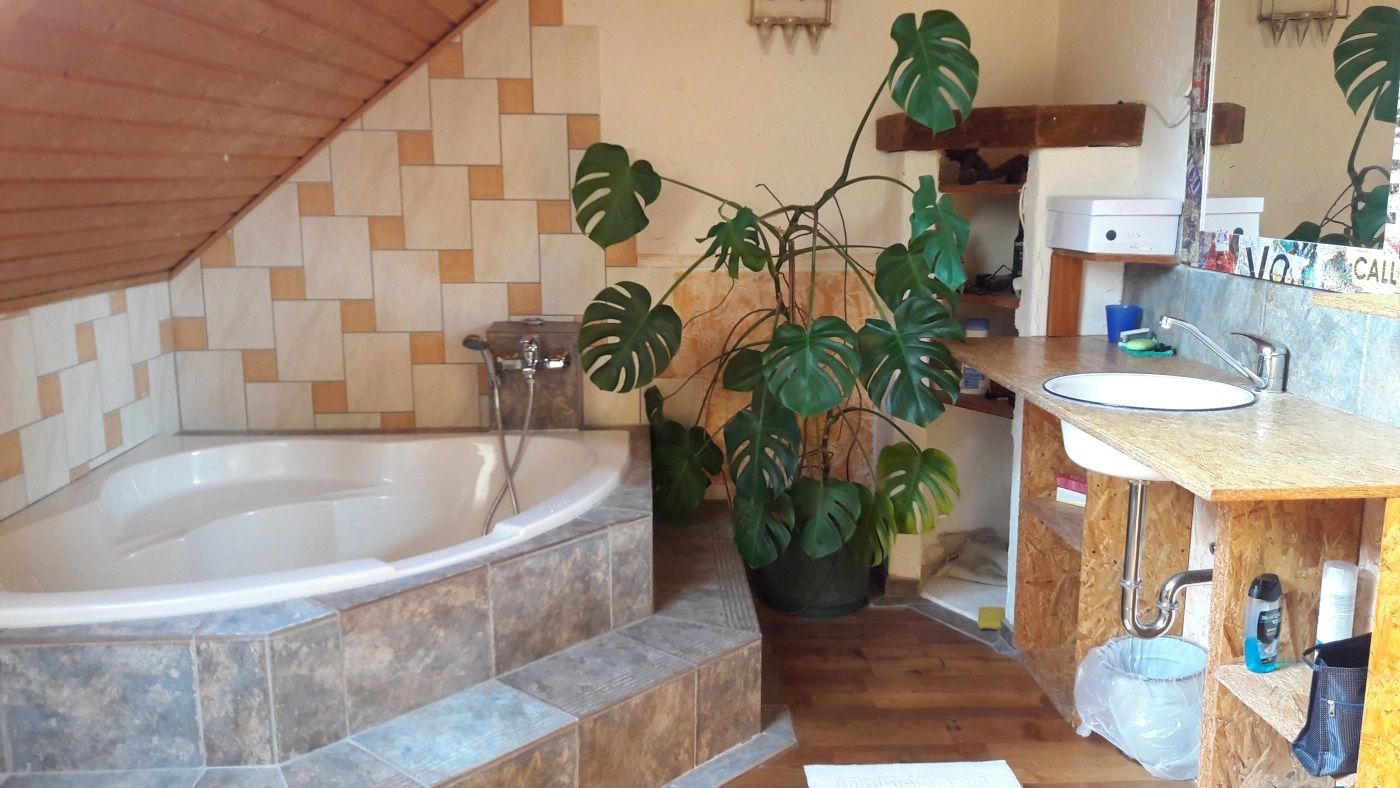 Fürdőszoba sarokkáddal, mosdókagylóval és nagyméretű növénnyel.