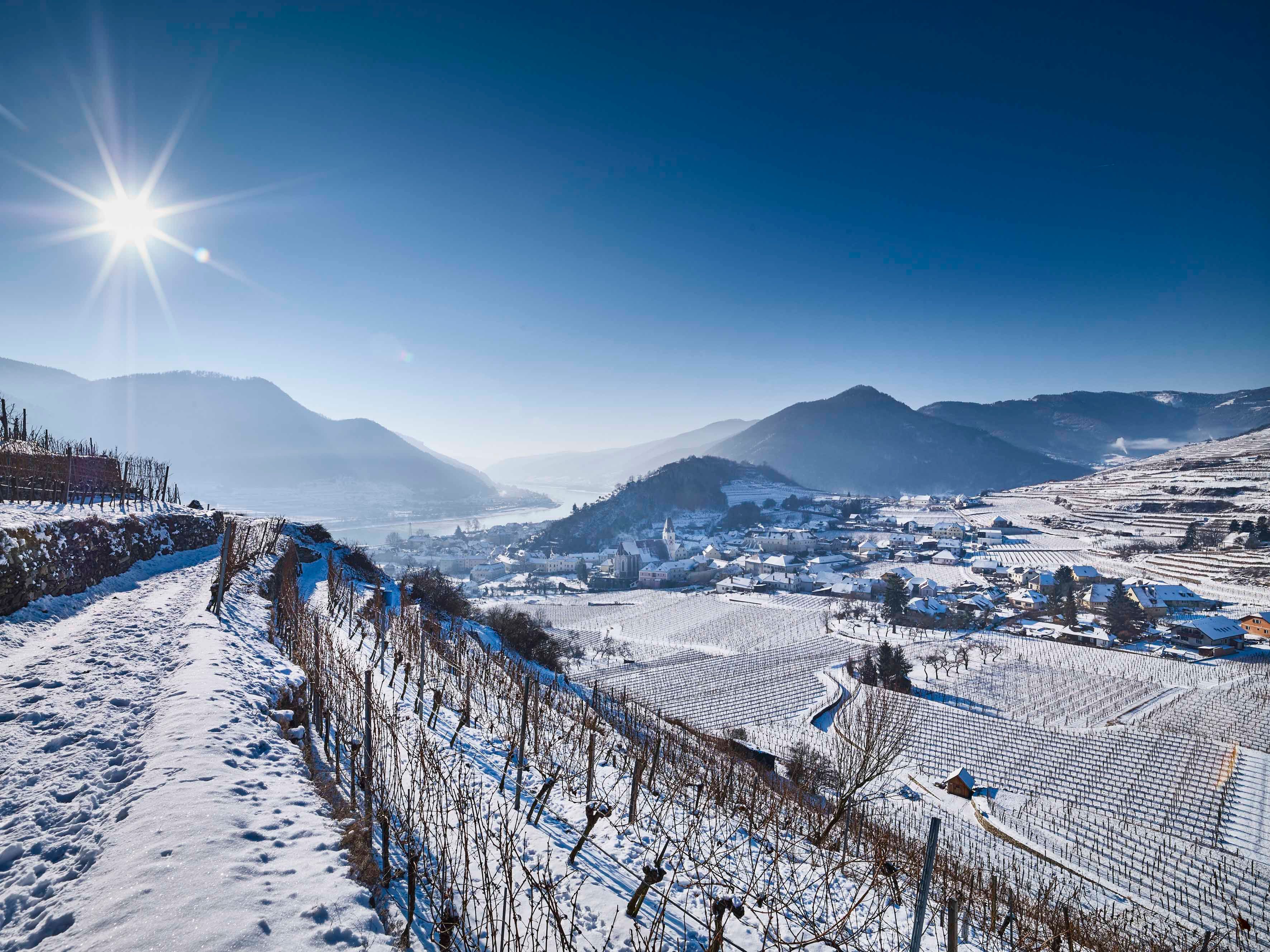 Spitz-Winter-©Andreas-Hofer-Nutzungsrechte-vorhanden (17)