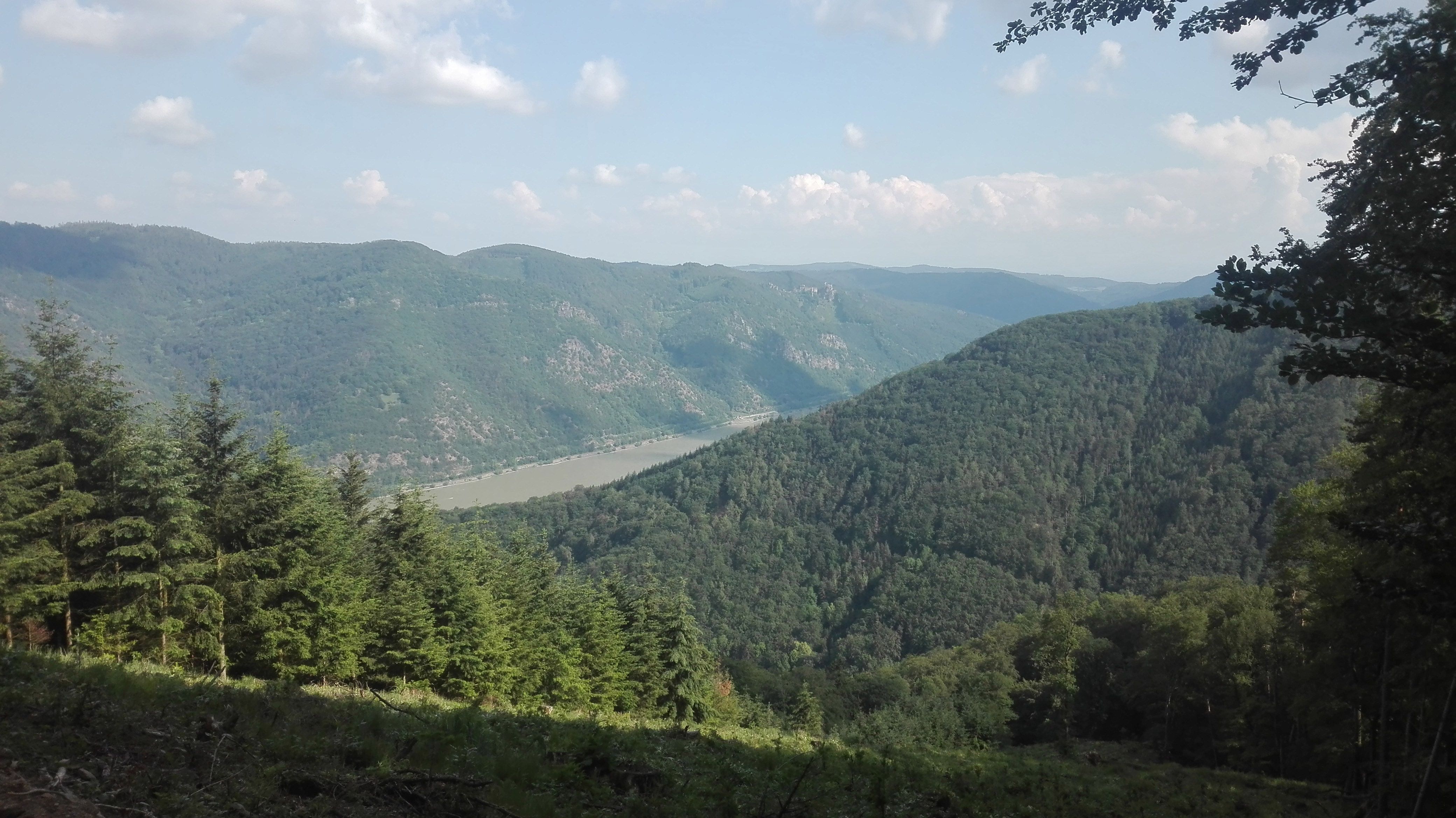 Blick vom Jauerling auf bewaldete Hügel und einen Fluss unter blauem Himmel.