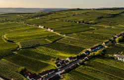 Kellergasse in Feuersbrunn/Ried Brenner