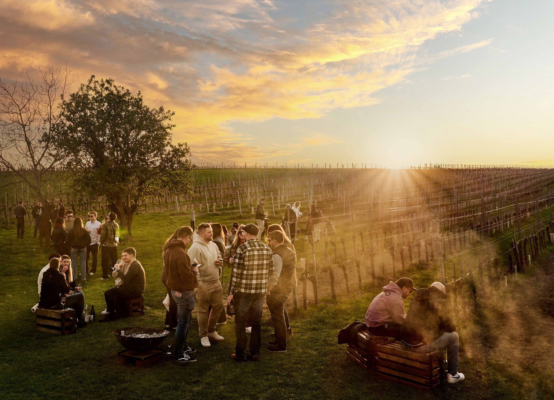 Ein Bild von der Veranstaltung Jungweinschnuppern beim Weingut Franz & Christine Netzl. Es stehen mehrere Gäste im Garten und man sieht dahinter noch Weingärten.