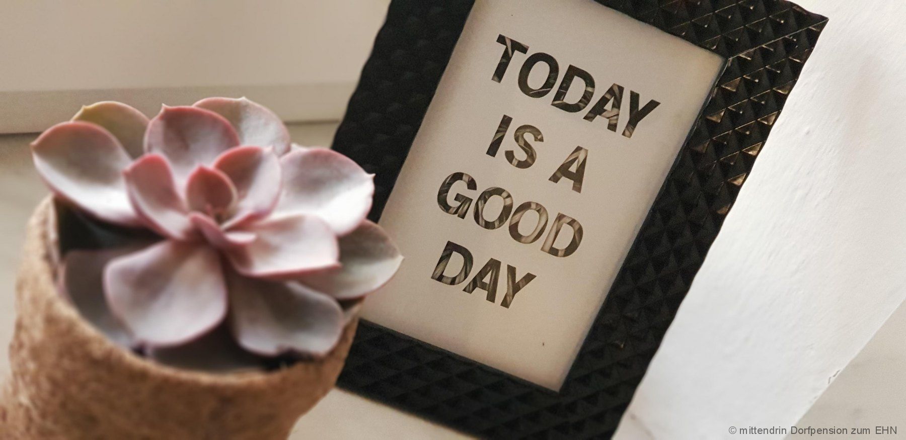 Eine Blume mit einem Schild, wo "Today Is A Good Day" oben steht.