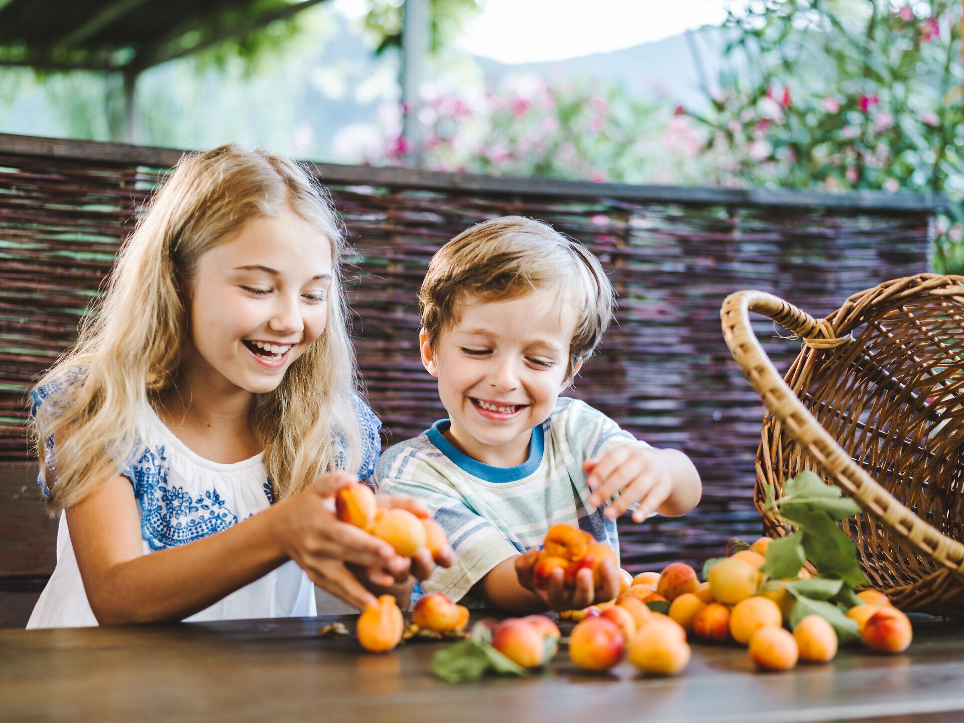 Zwei fröhliche Kinder sammeln saftige Marillen in einem malerischen Garten. Die Sonne strahlt und die bunten Früchte leuchten in der warmen Sommerluft, während die Kinder mit Lachen und Freude die Ernte genießen.
