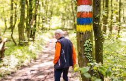 Mann auf einem Waldweg. Im Vordergrund ein Baum mit bunten Markierungen. 